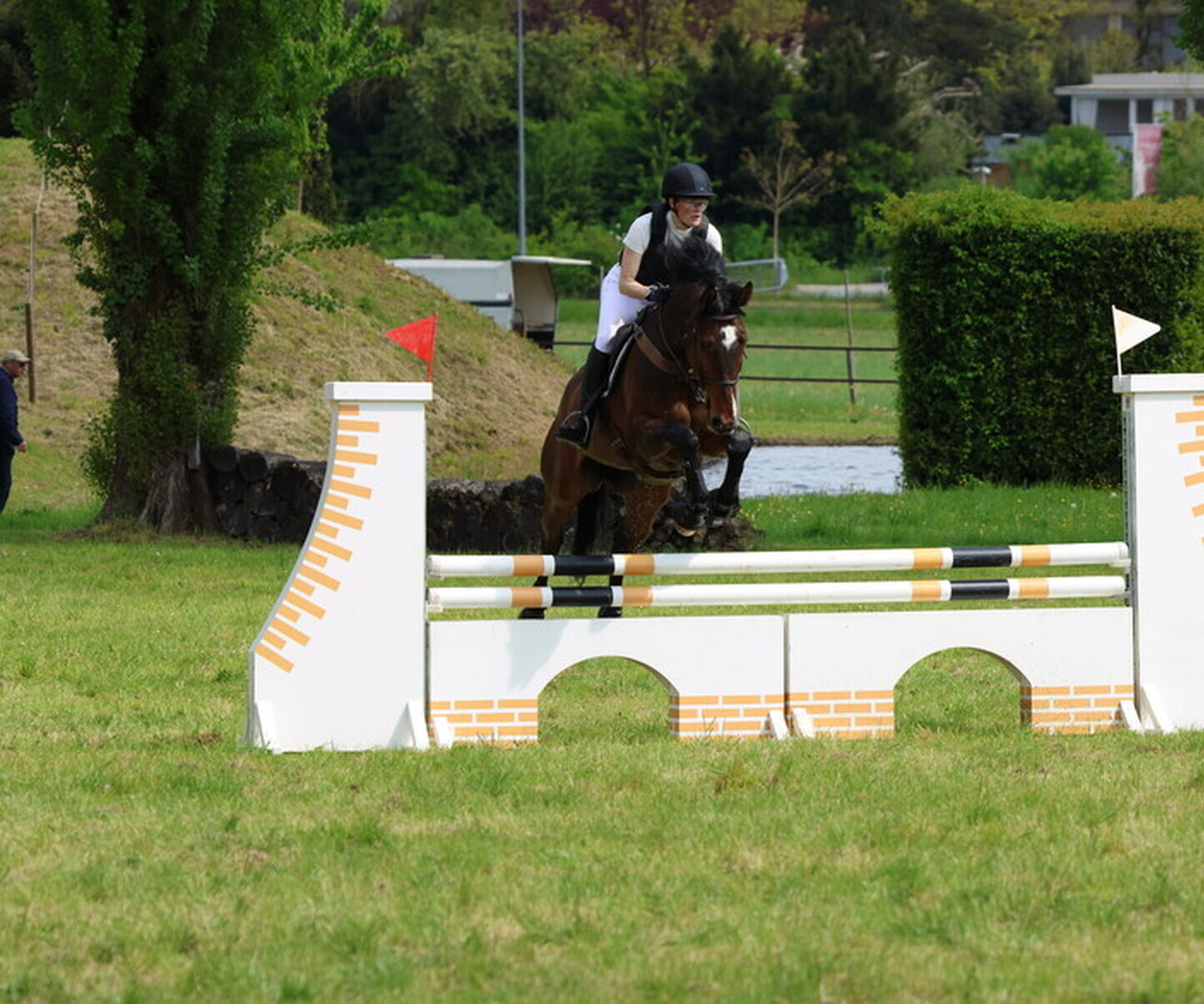 Description de l'image