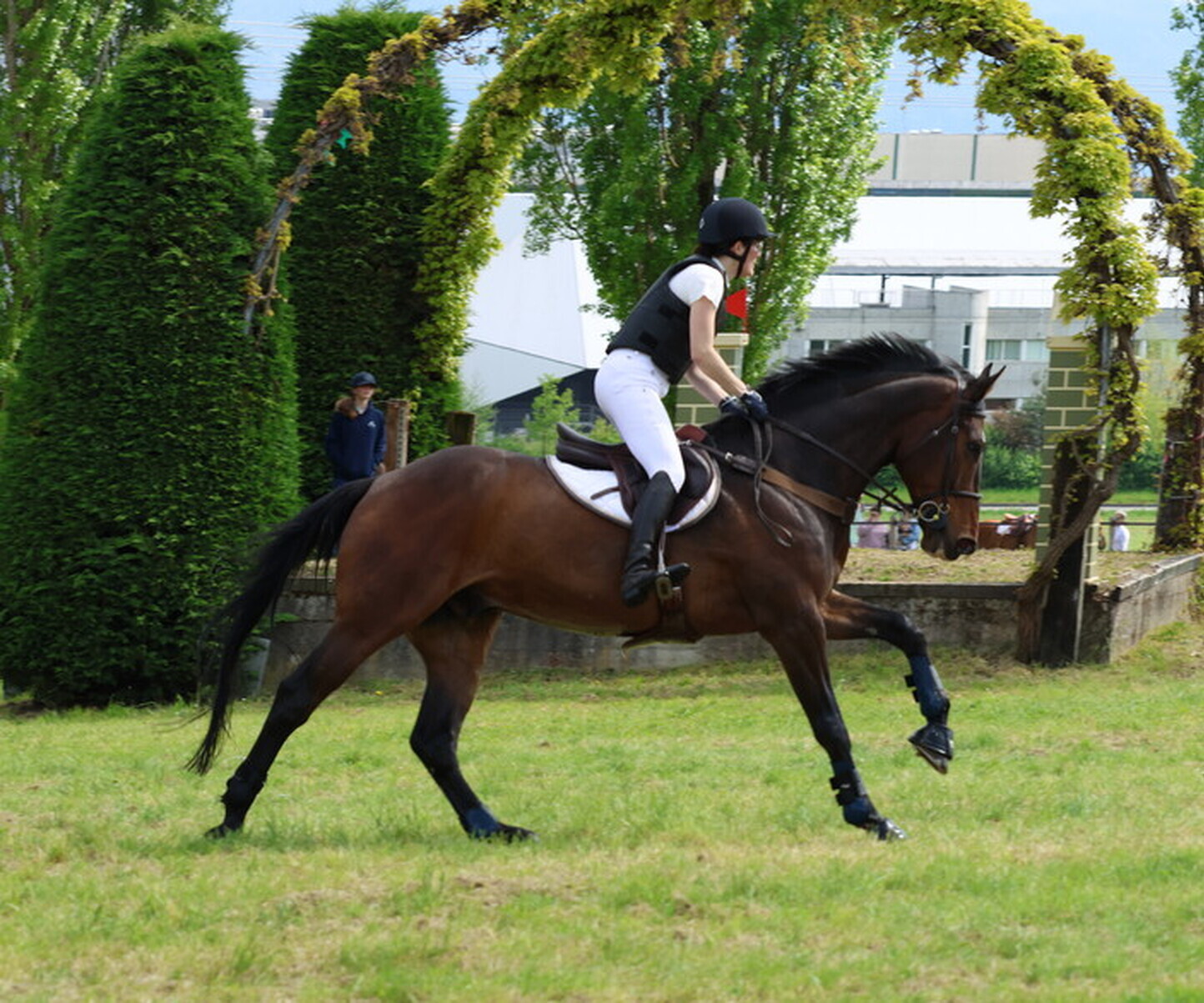 Description de l'image