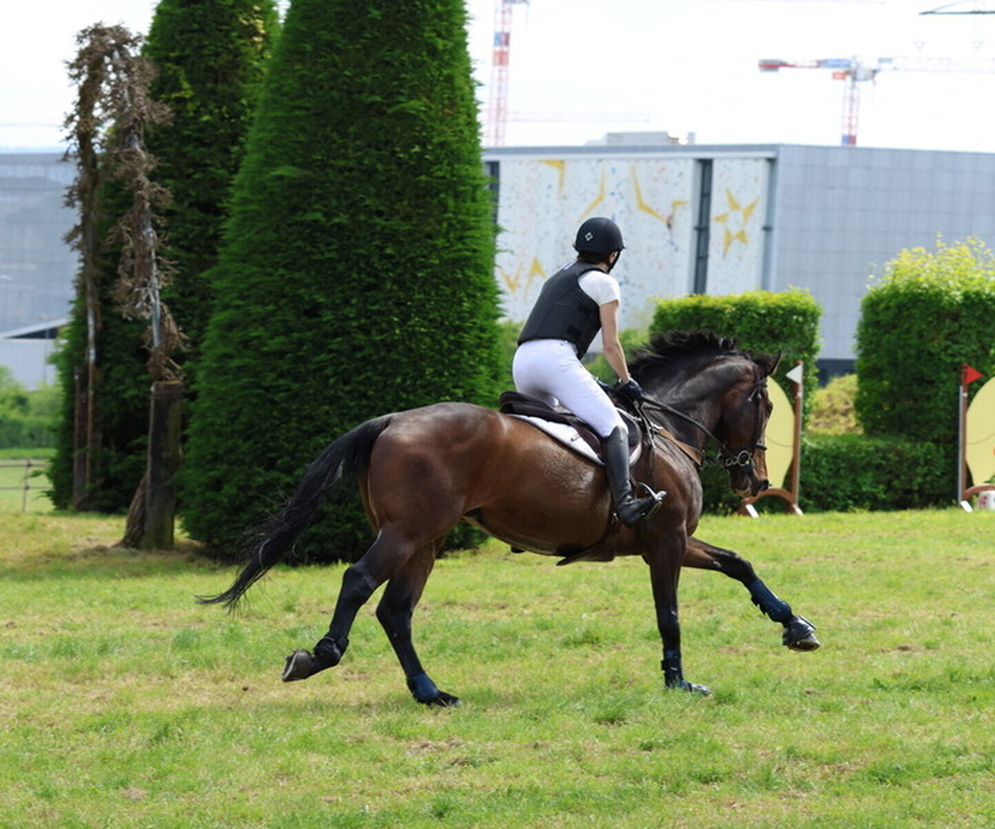 Description de l'image