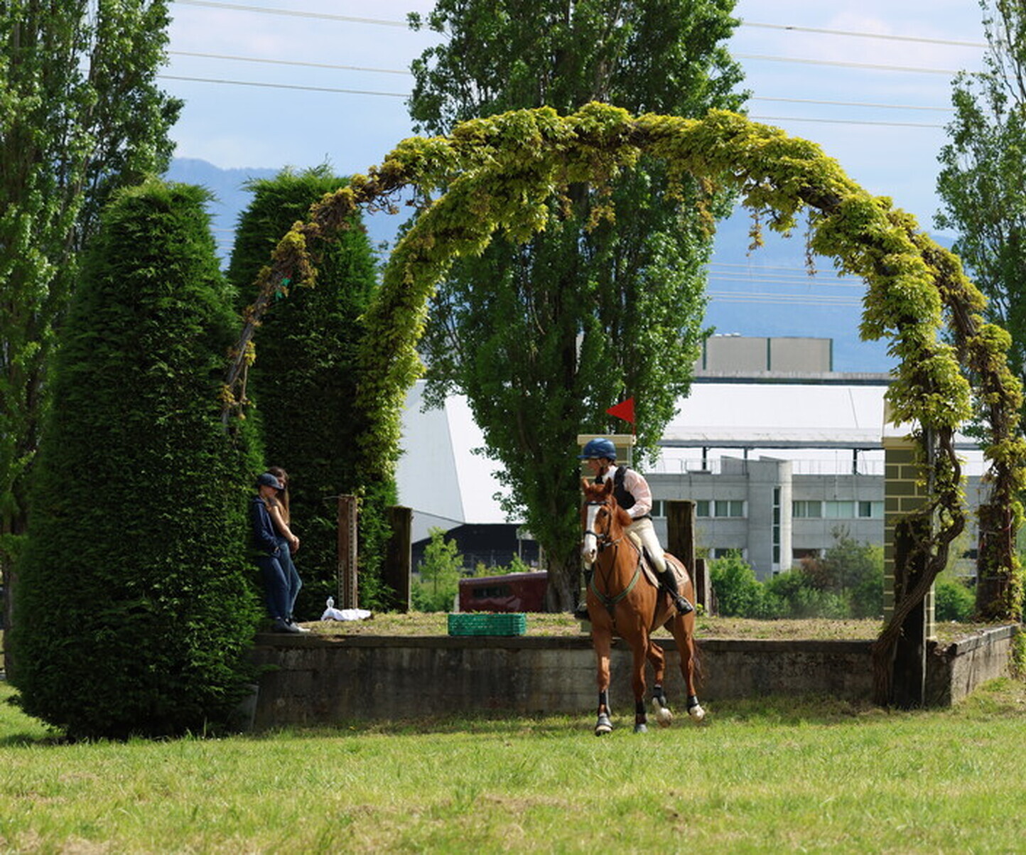 Description de l'image