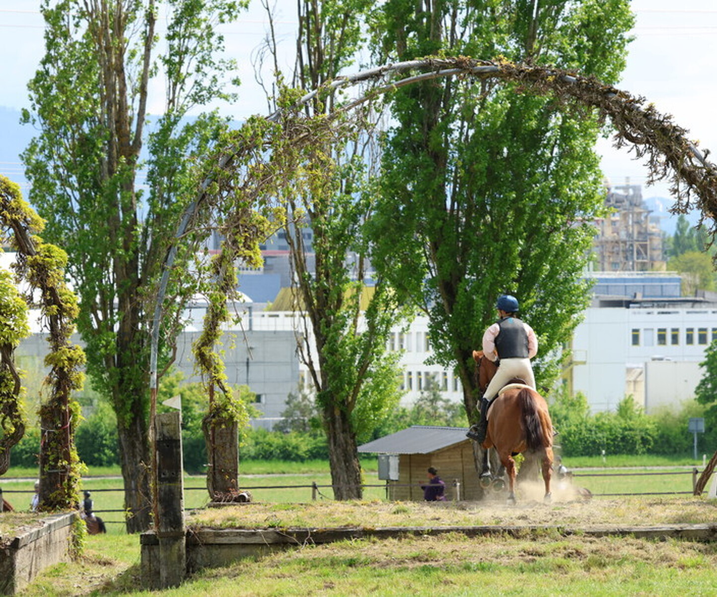 Description de l'image