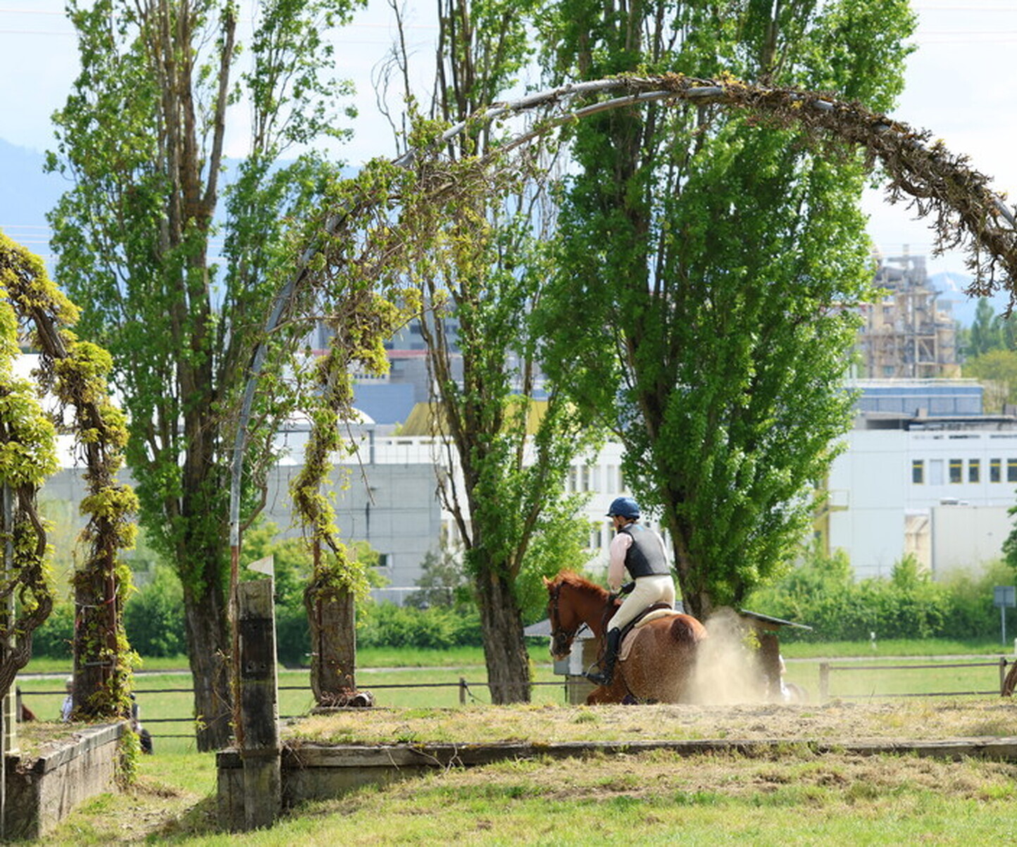 Description de l'image