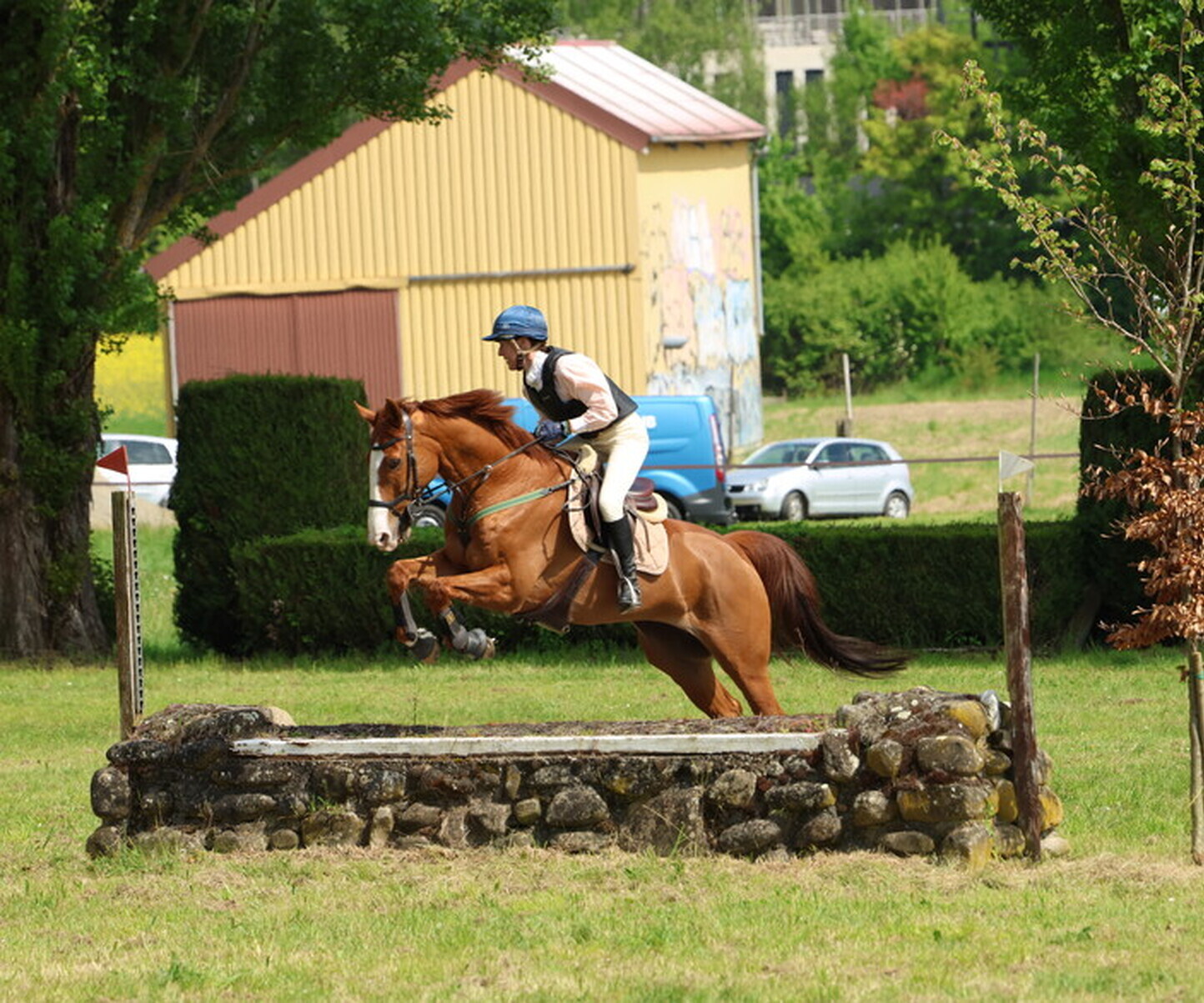 Description de l'image