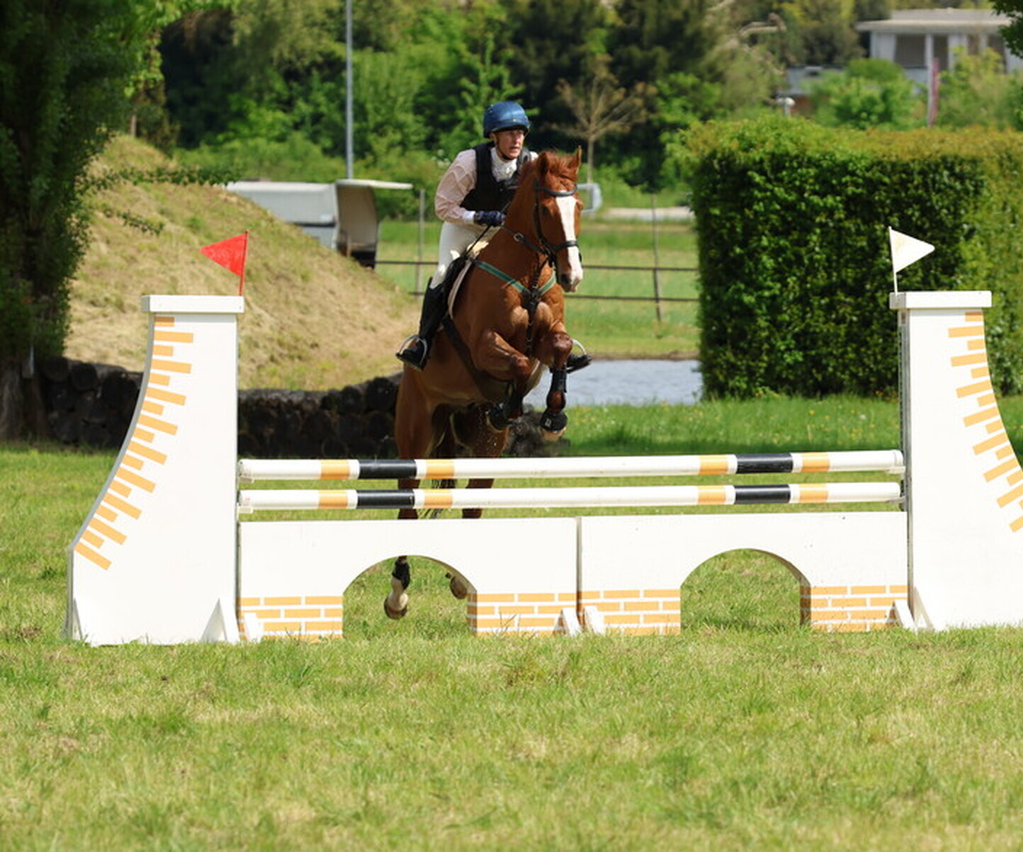 Description de l'image