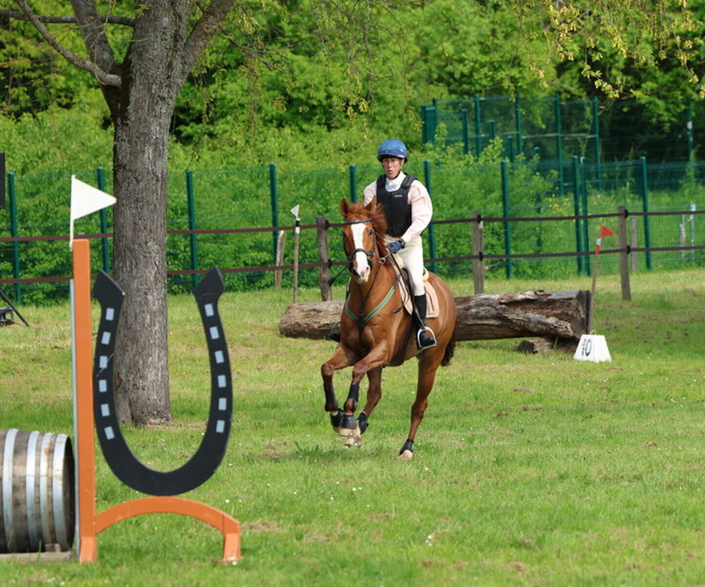 Description de l'image