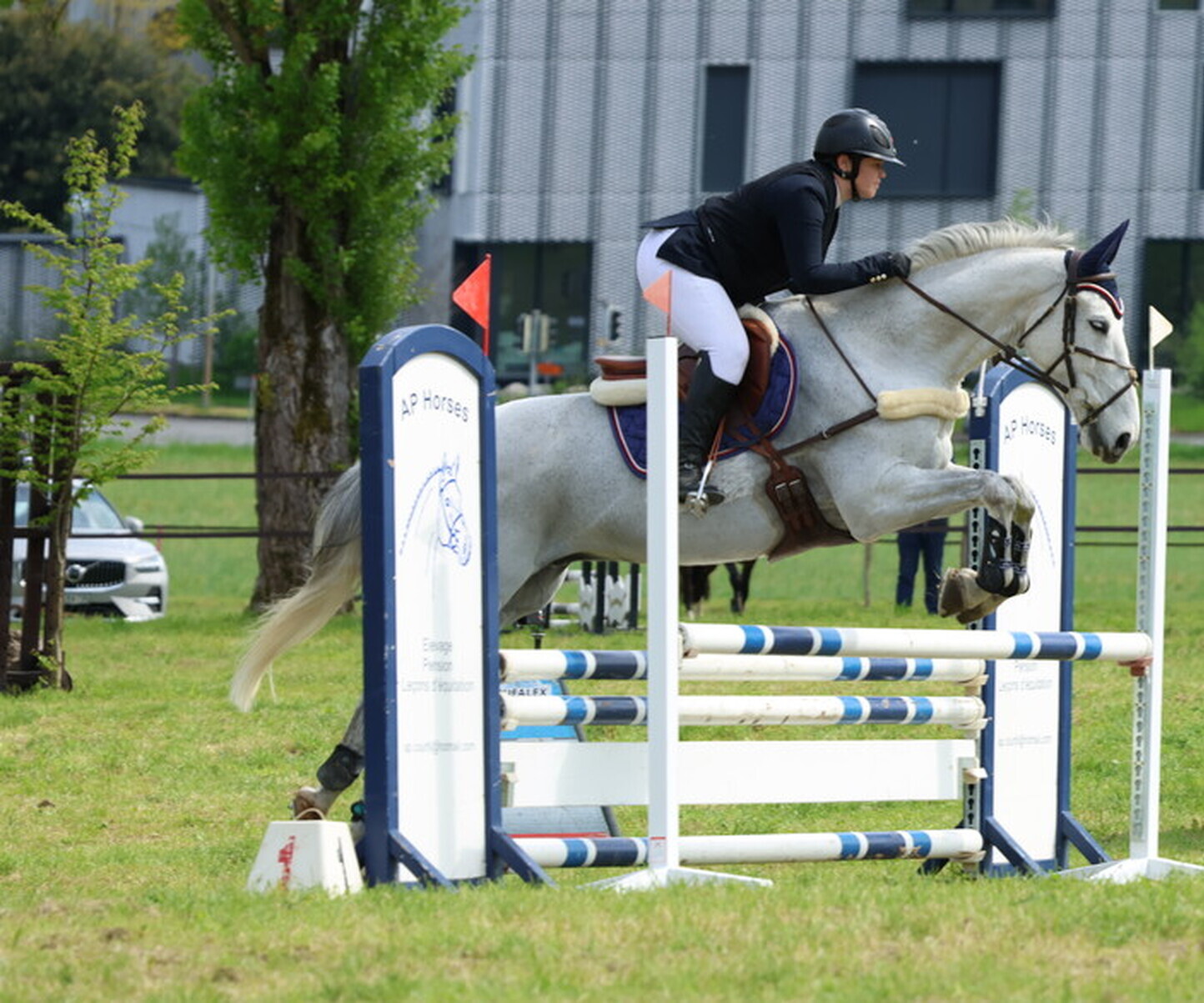 Description de l'image