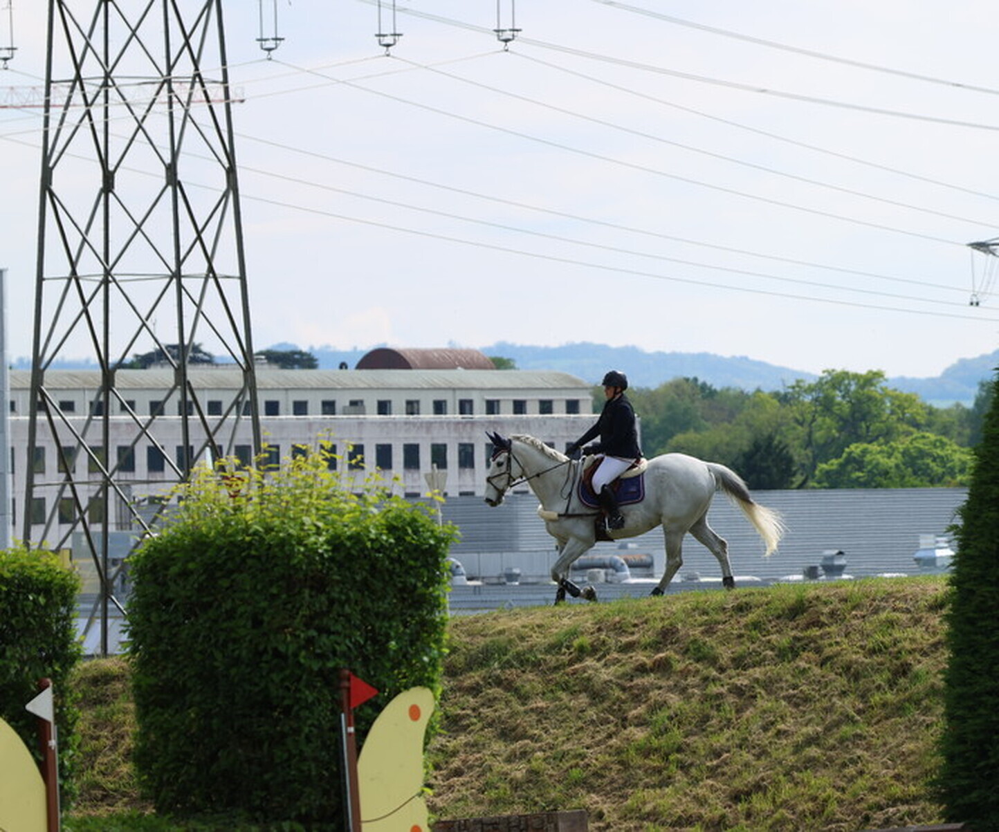 Description de l'image