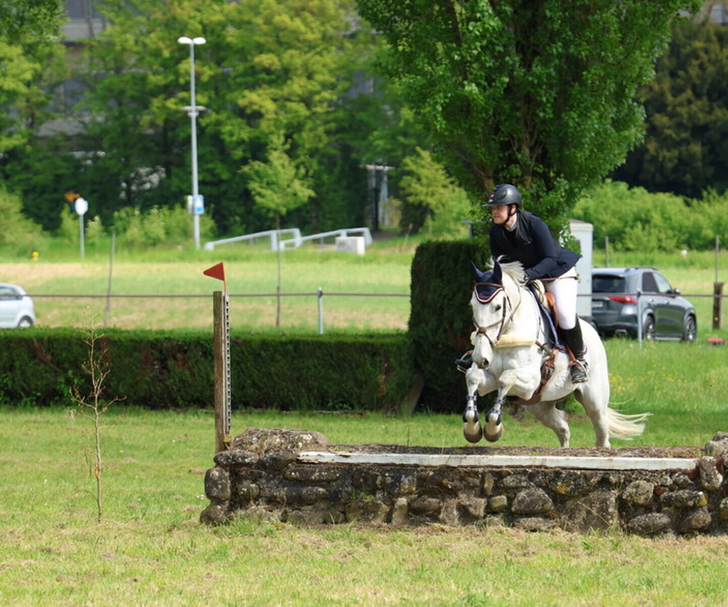 Description de l'image