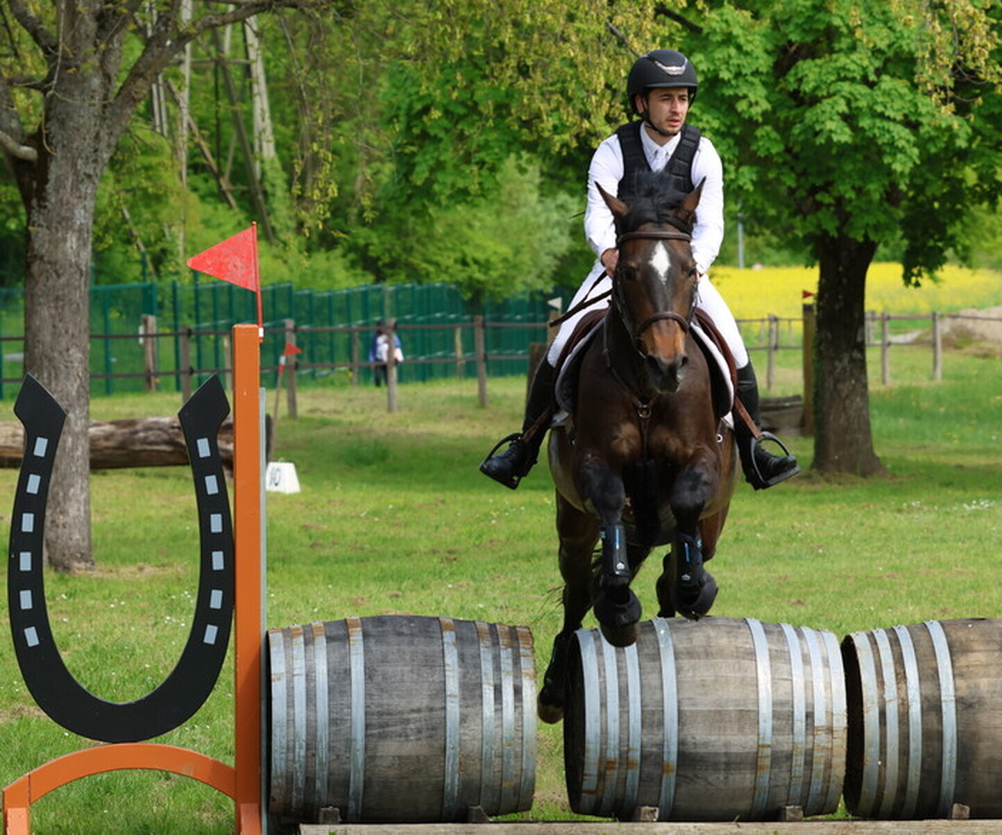 Description de l'image