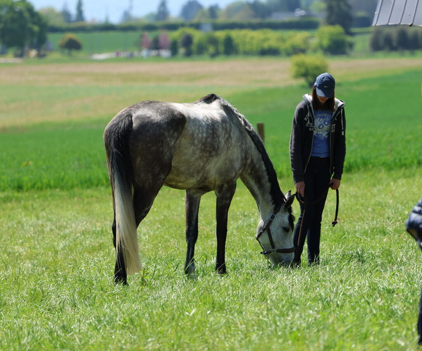 Description de l'image