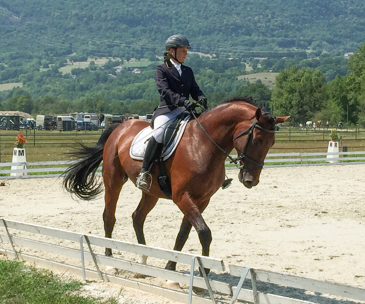 Dressage à Vulbens