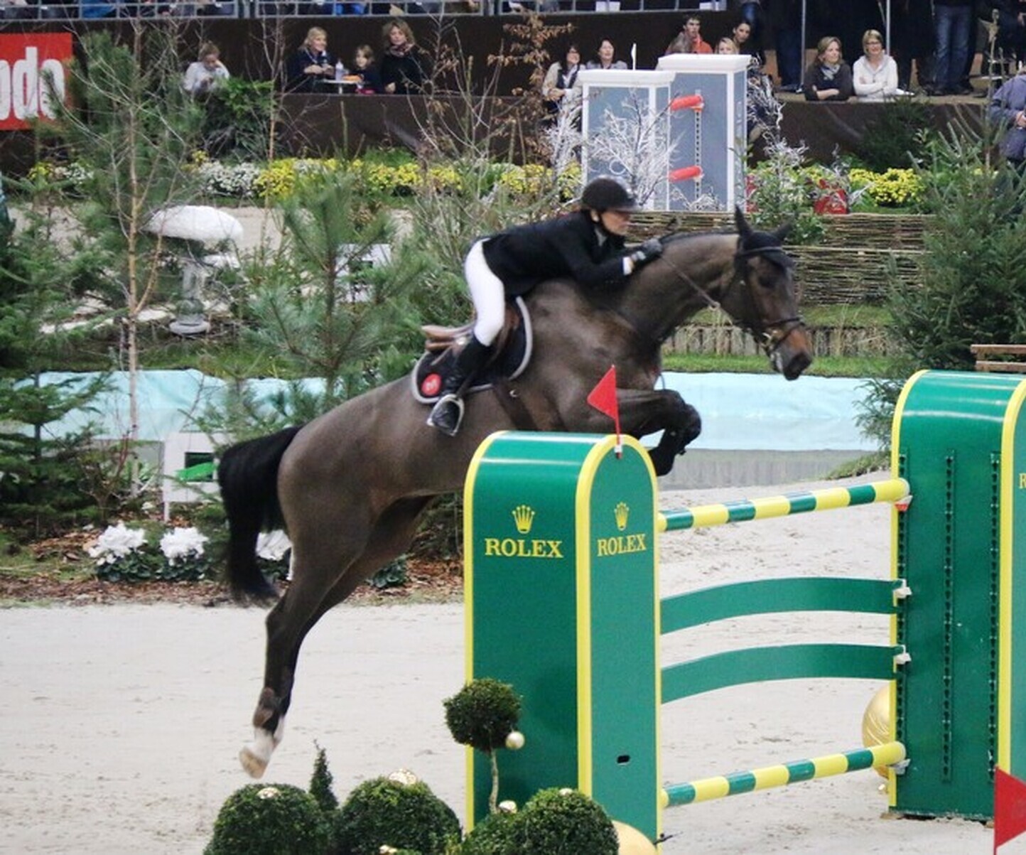 Description de l'image