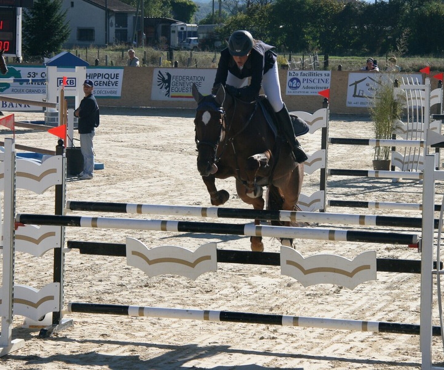 Description de l'image