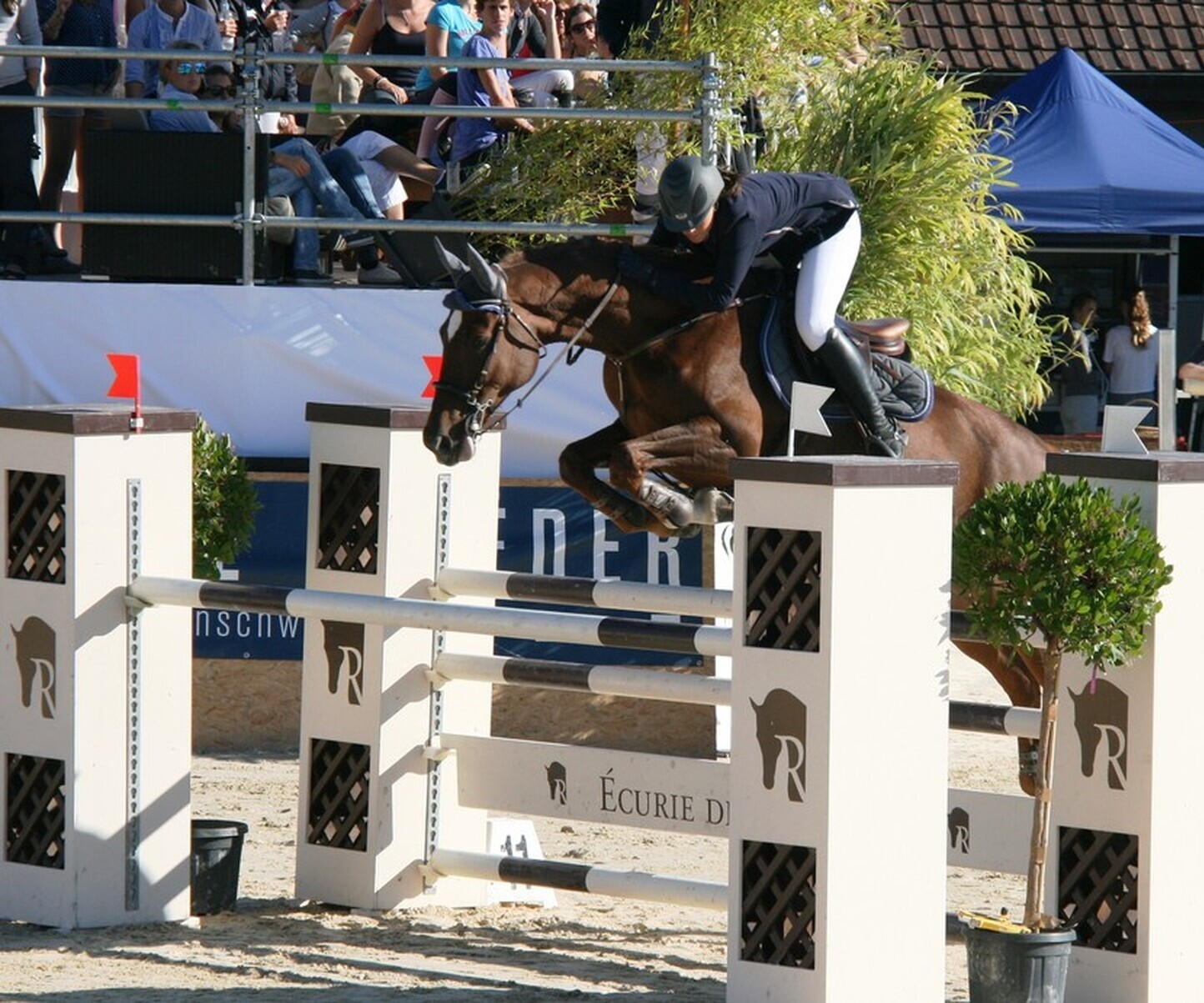 Description de l'image