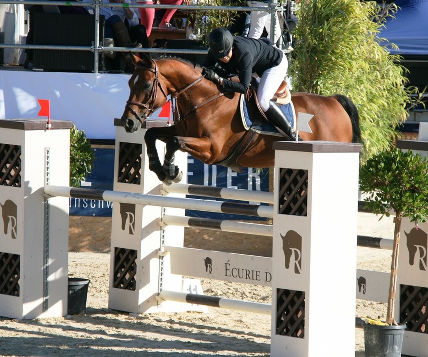 Description de l'image