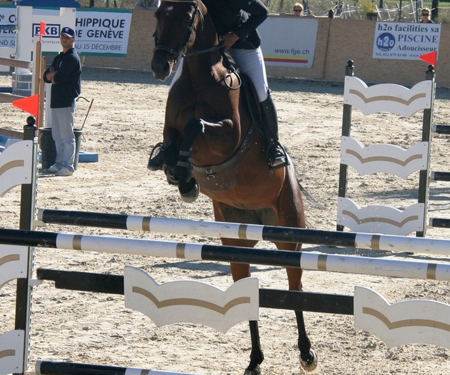 Description de l'image