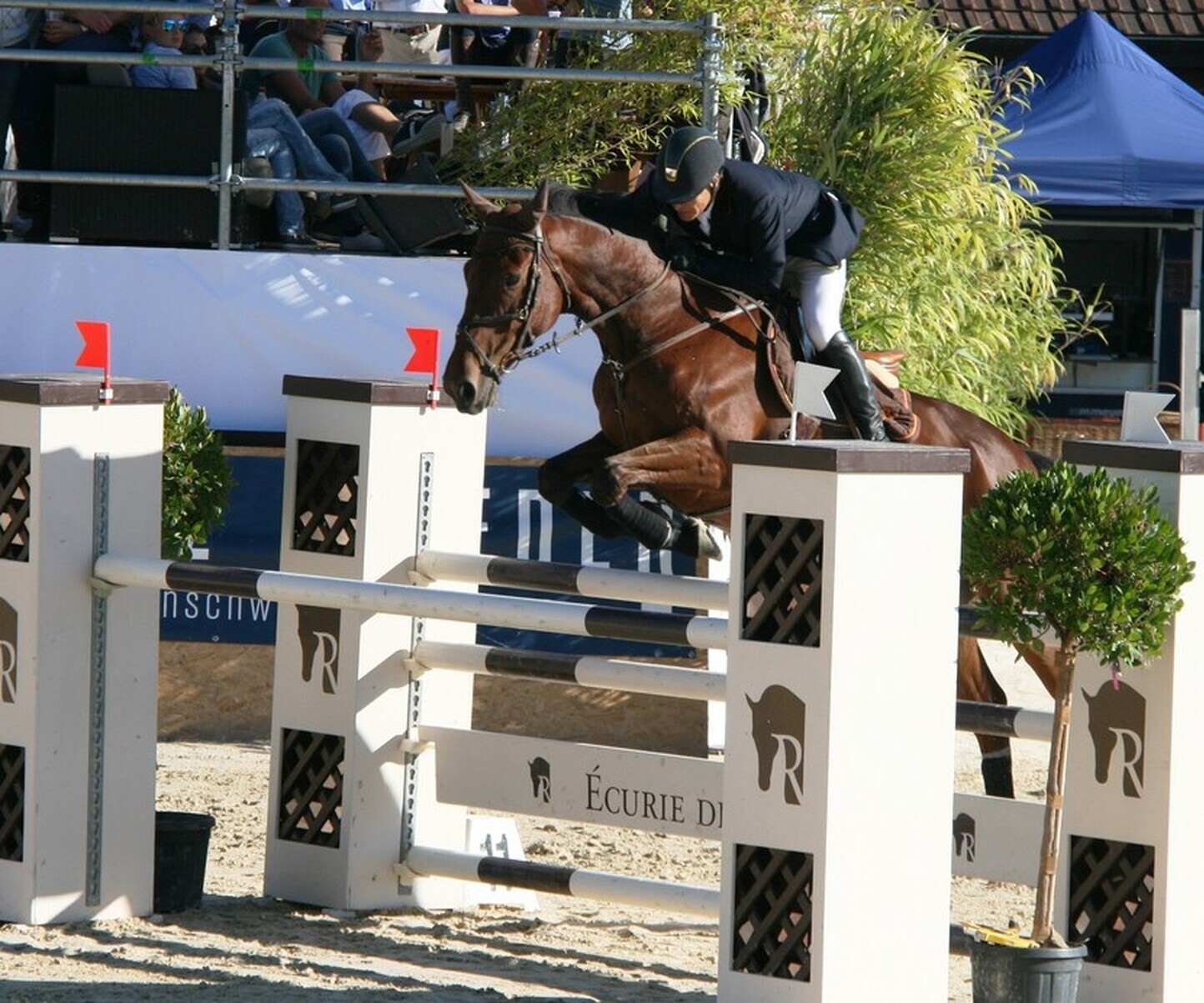 Description de l'image