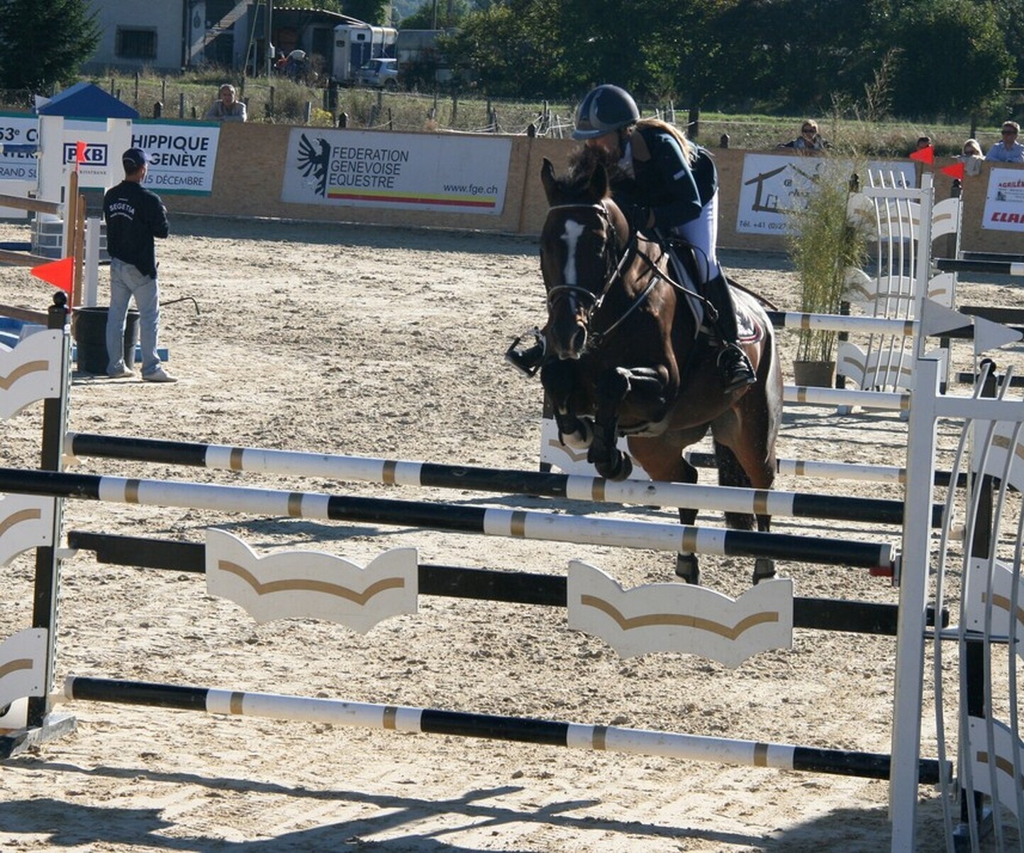 Description de l'image