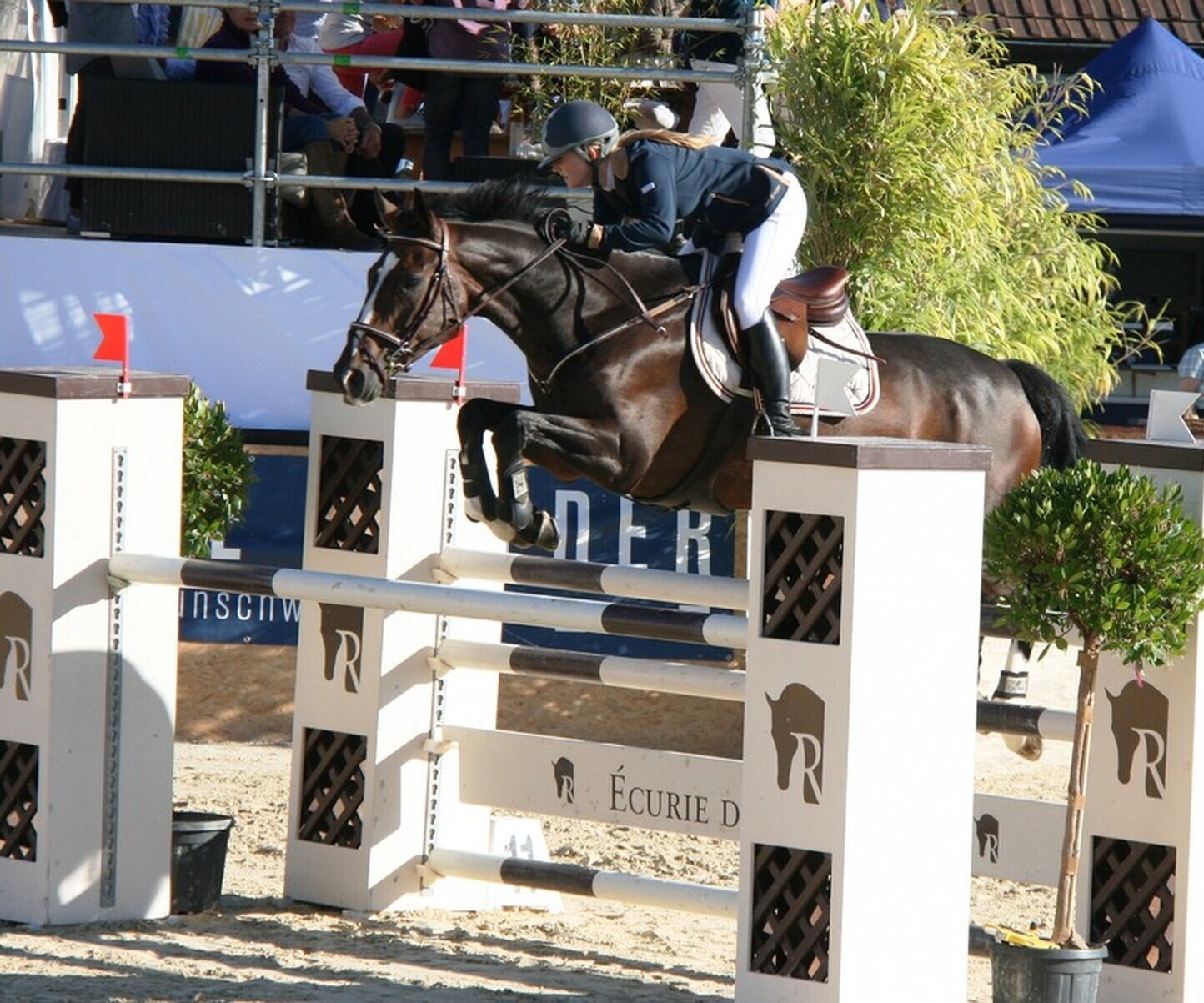 Description de l'image