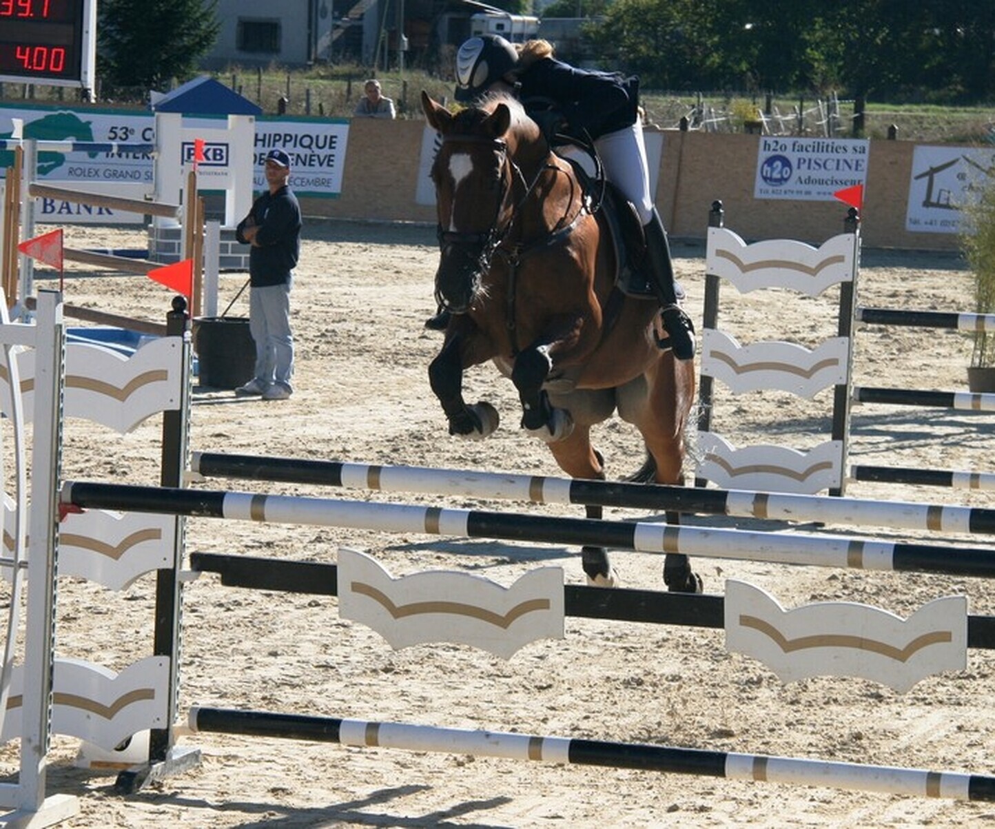 Description de l'image