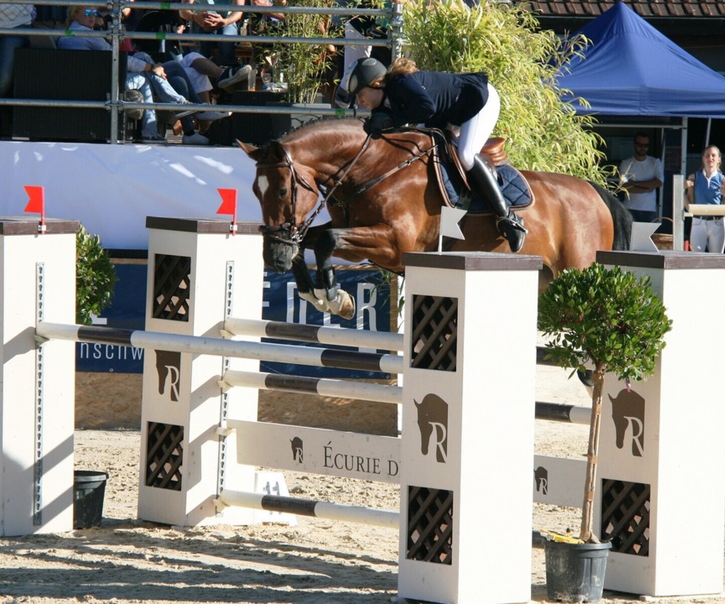 Description de l'image