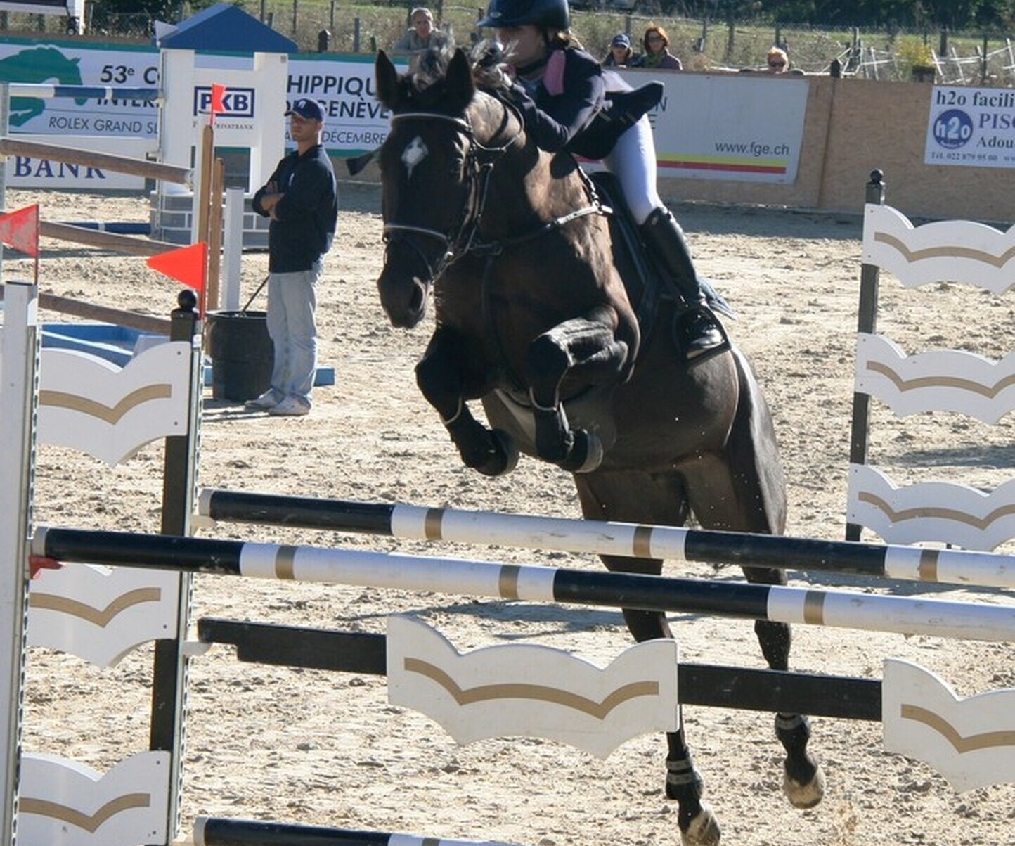 Description de l'image