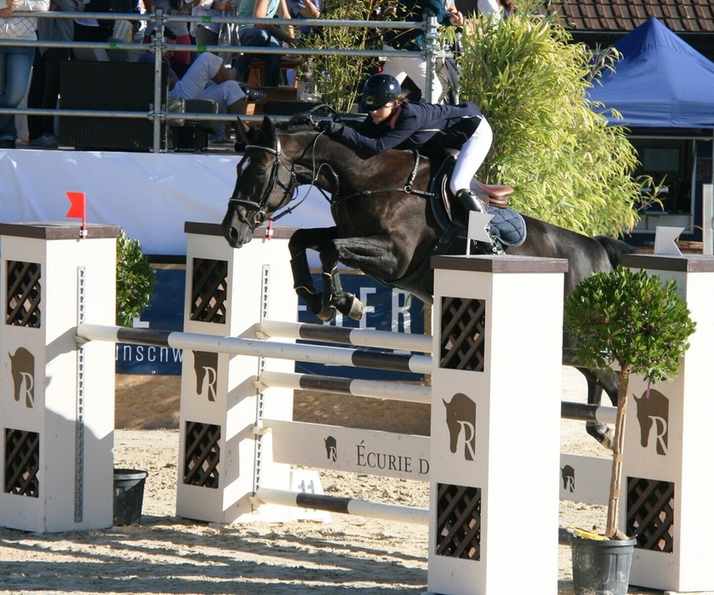 Description de l'image