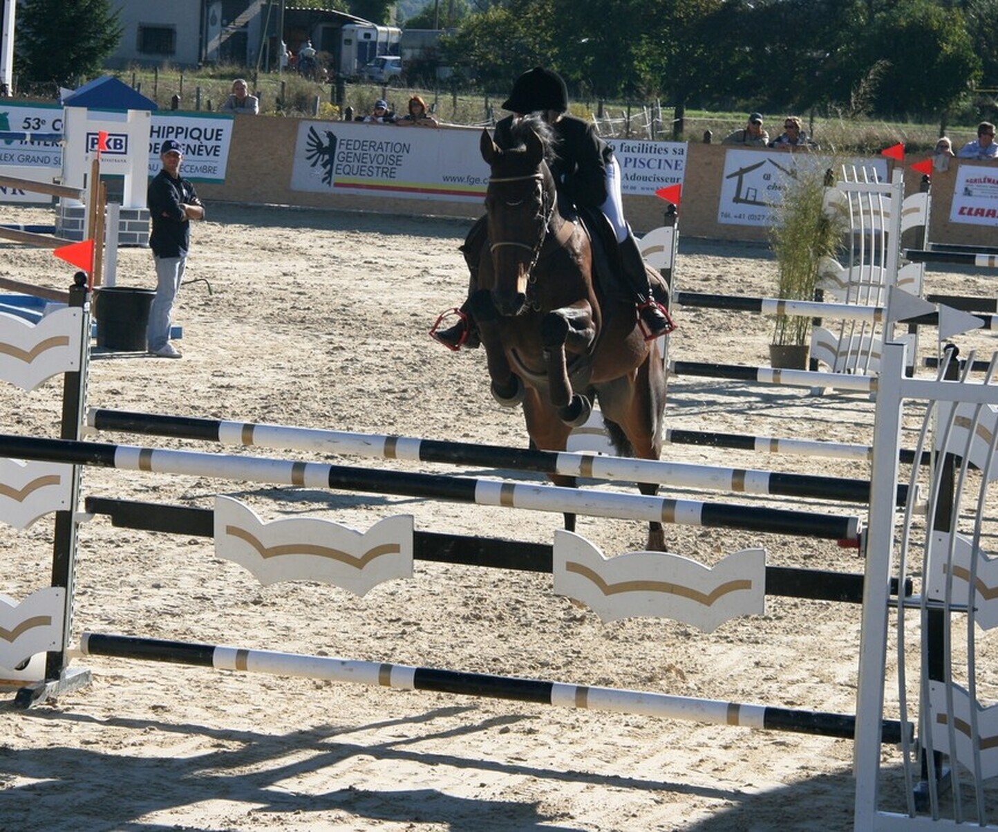 Description de l'image