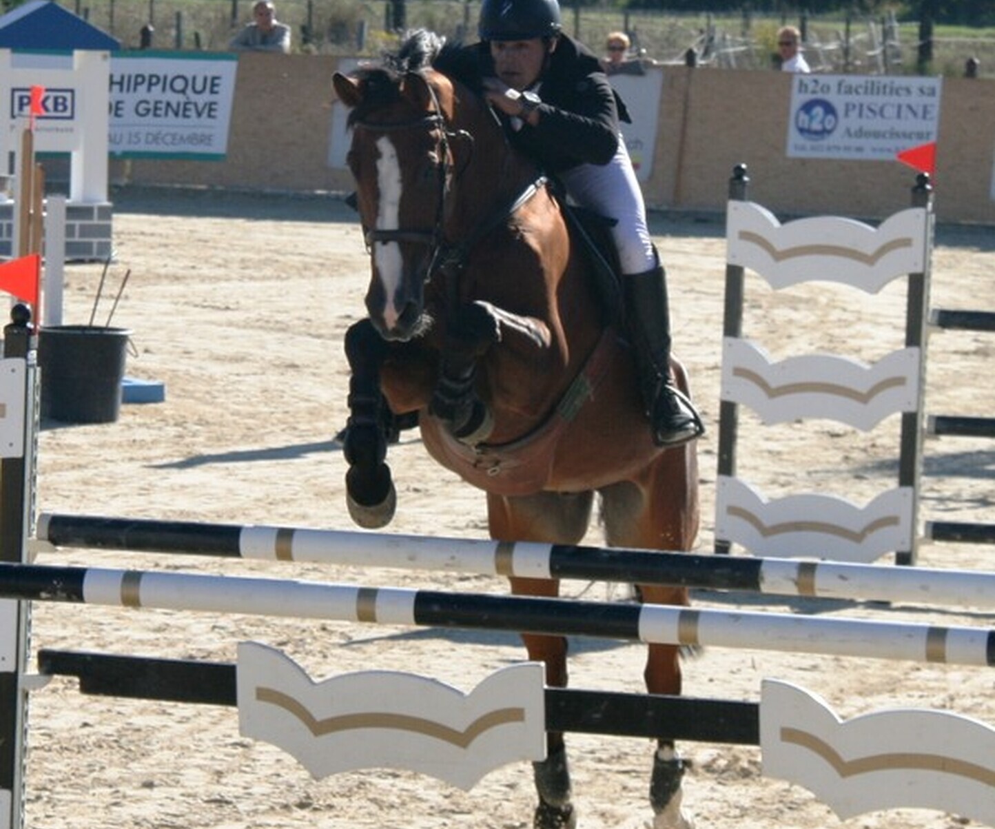 Description de l'image