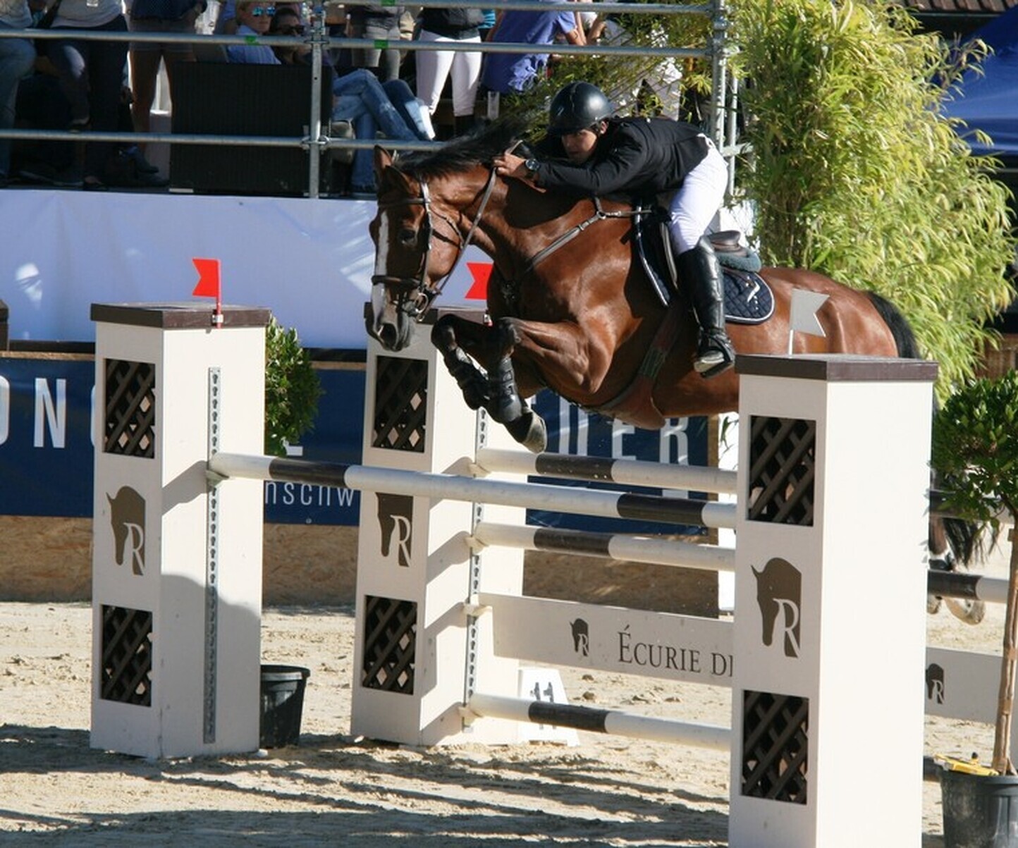 Description de l'image