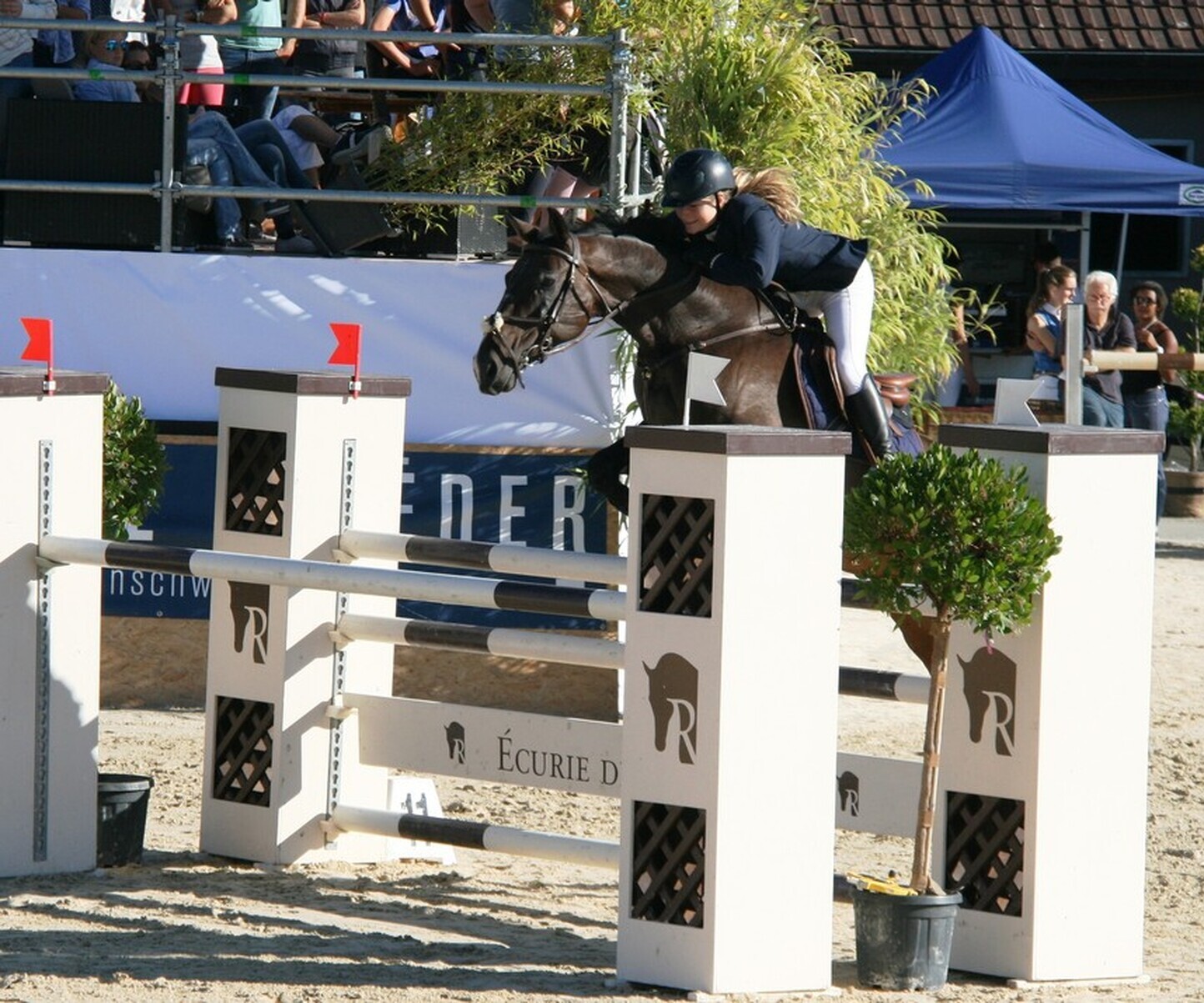 Description de l'image