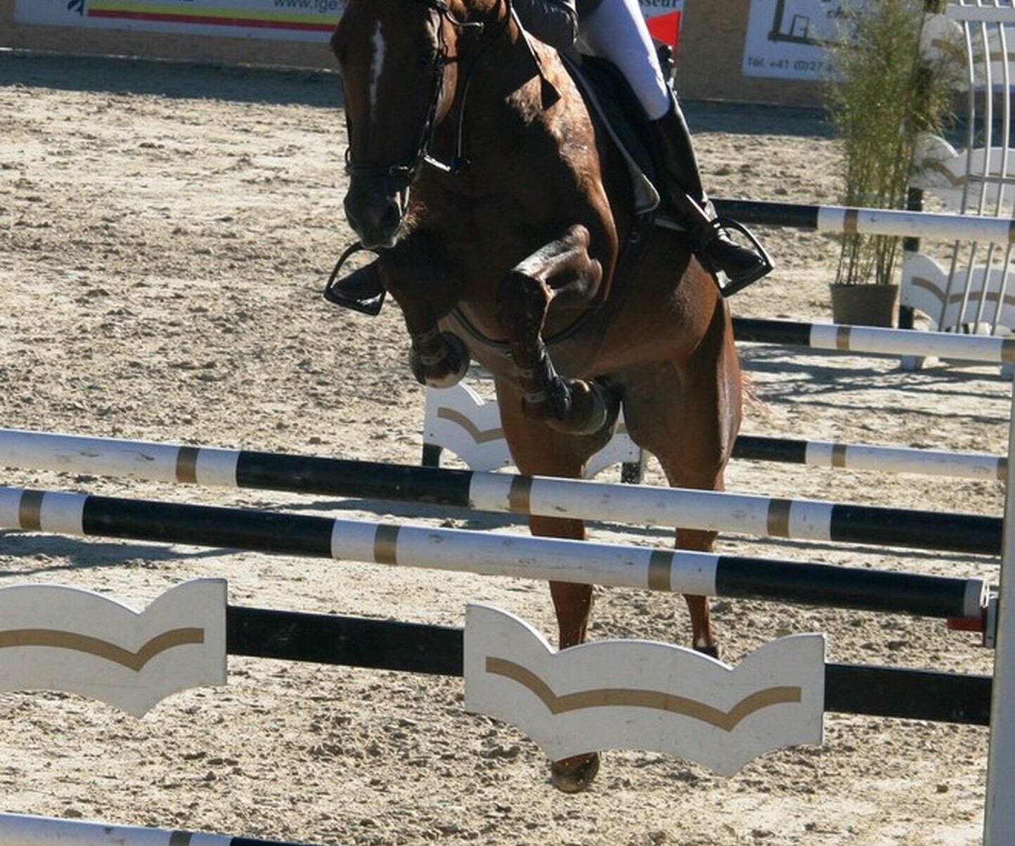 Description de l'image