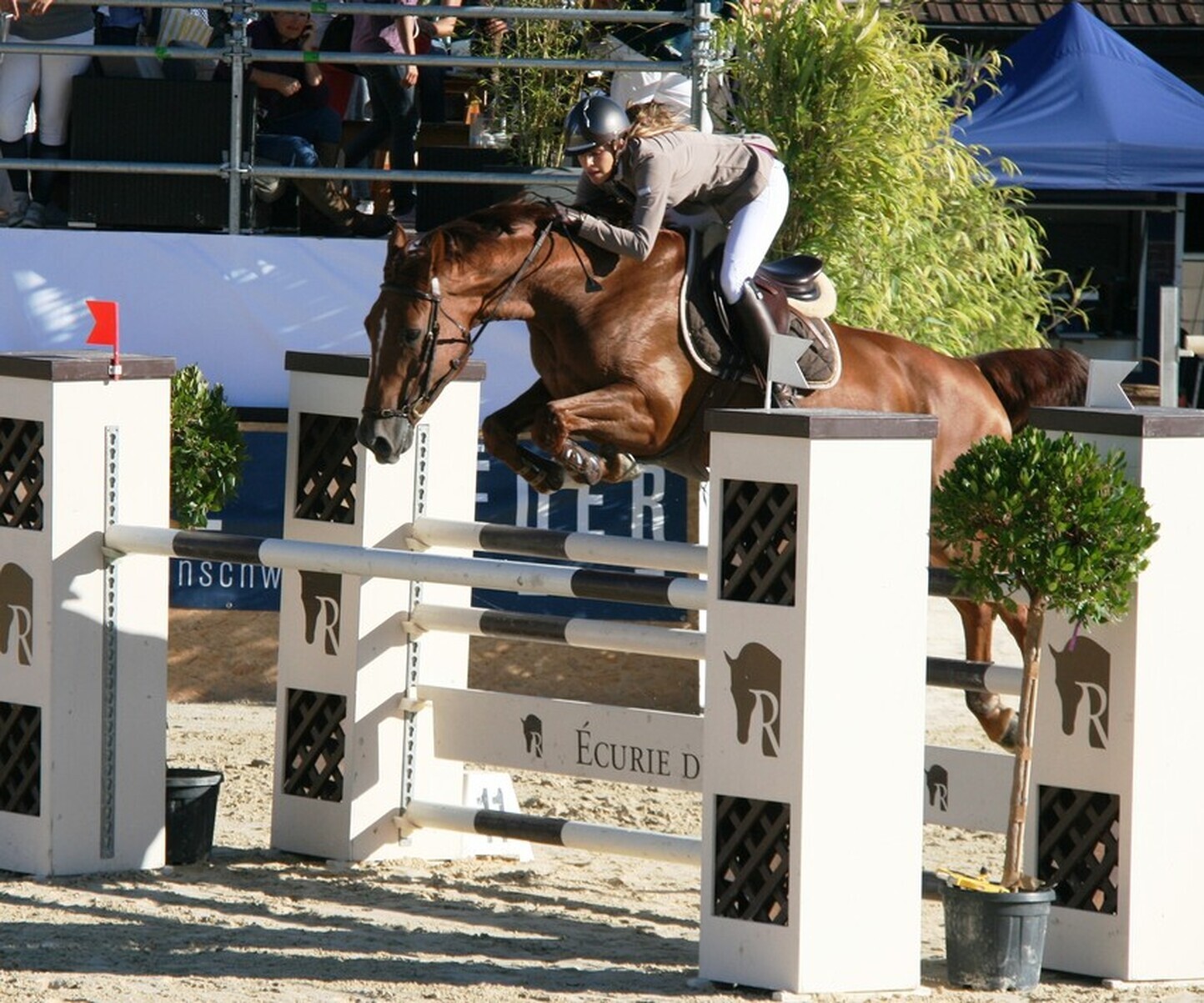 Description de l'image