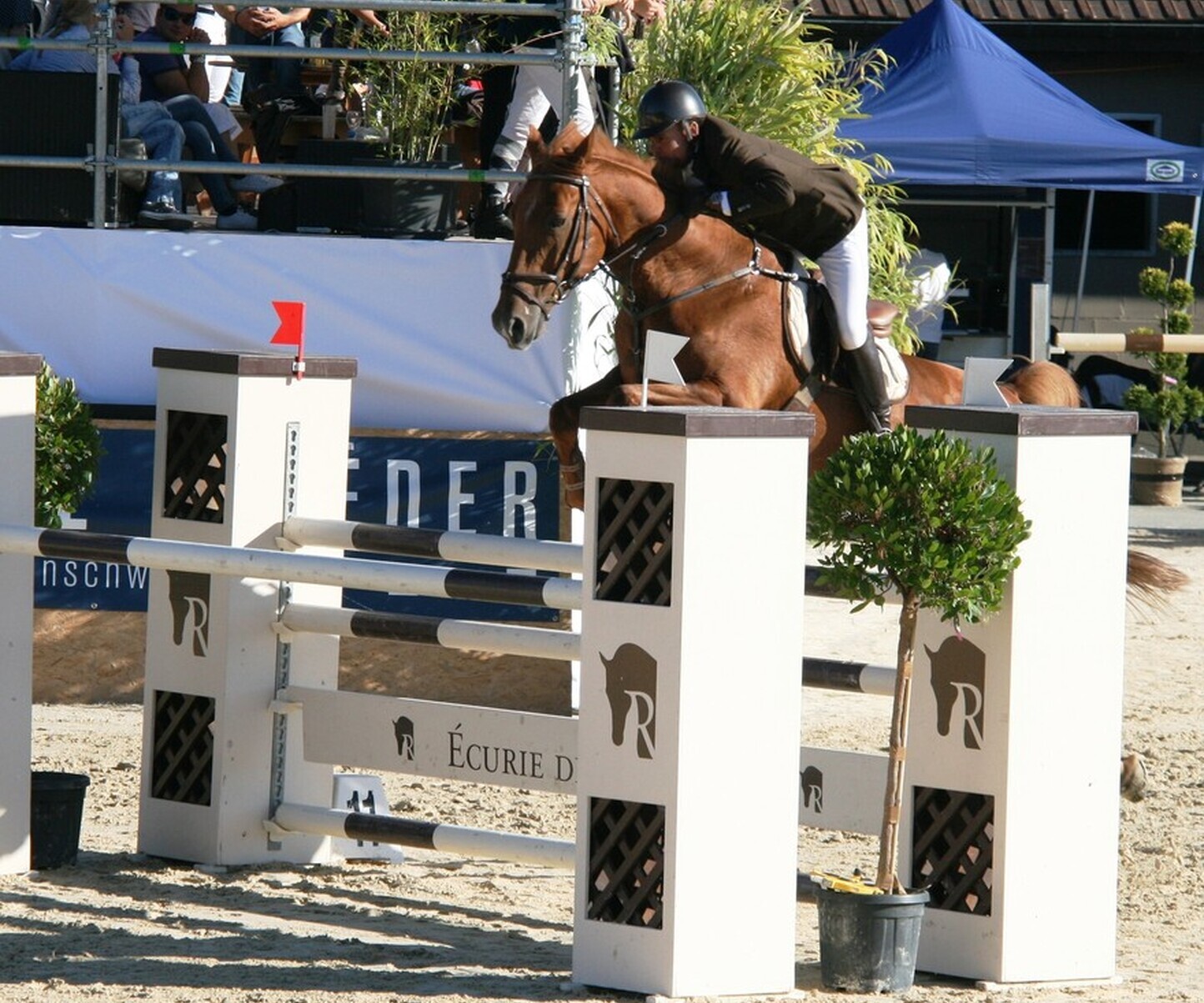 Description de l'image