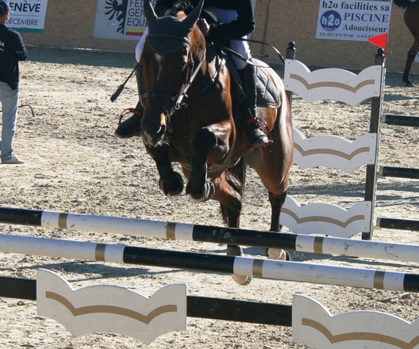 Description de l'image