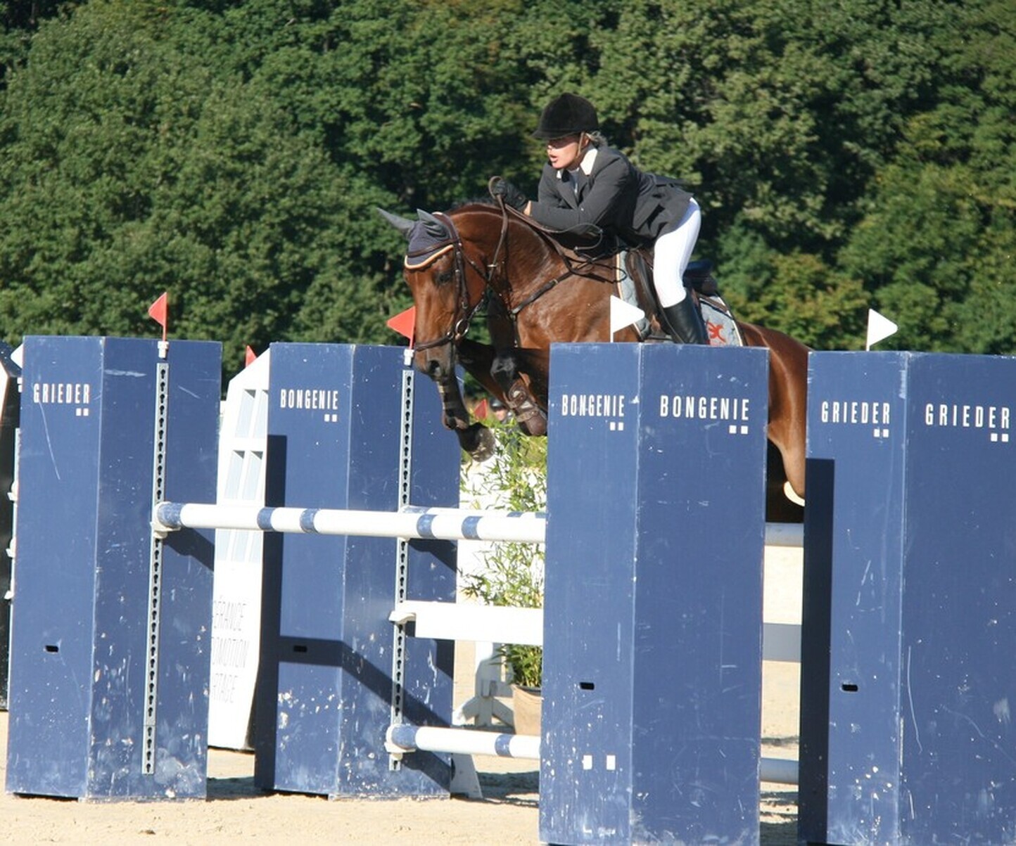 Description de l'image