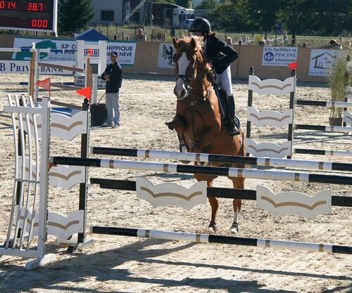 Finale Regionaux Genevoise de Saut Jussy 2013