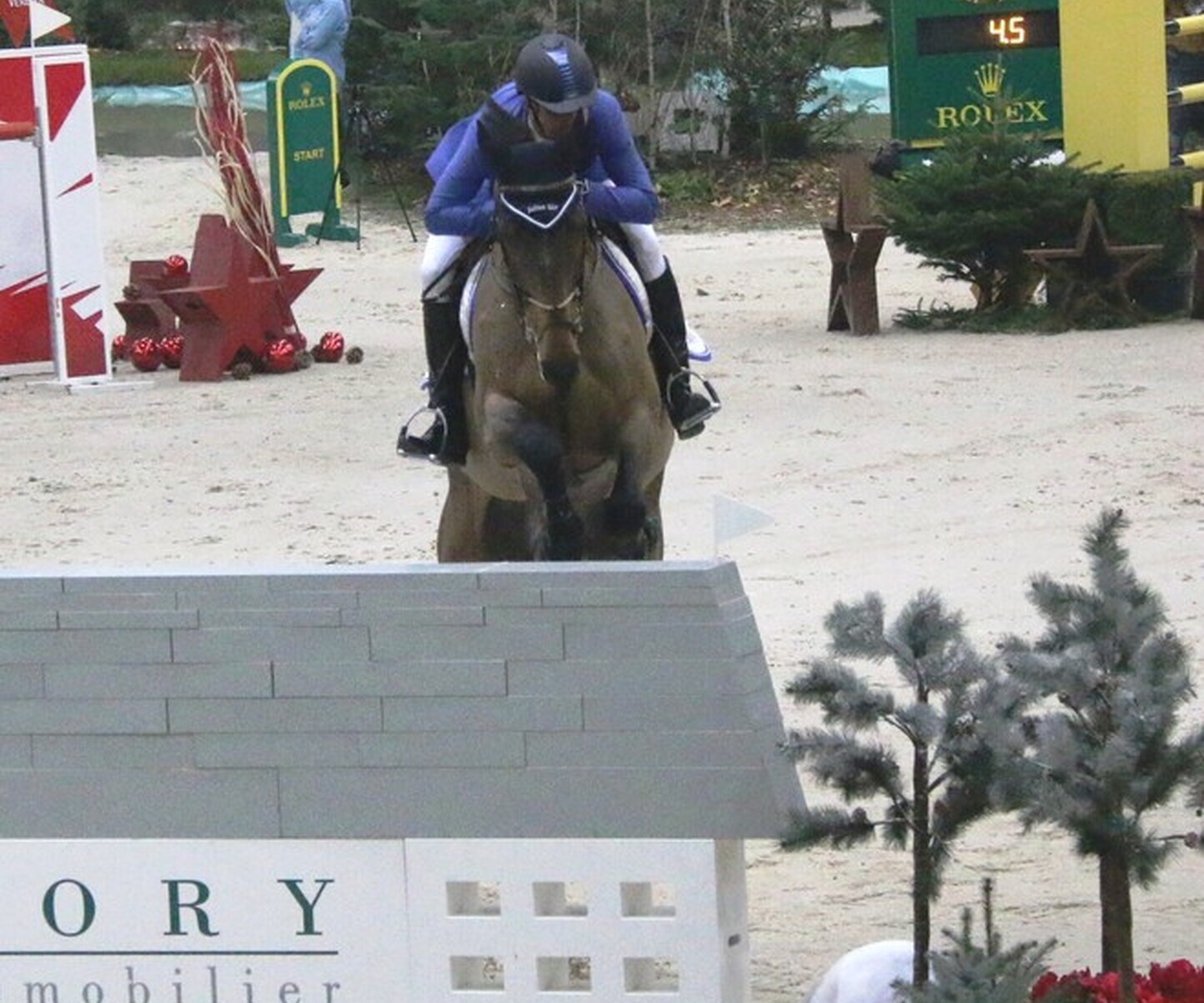 Description de l'image