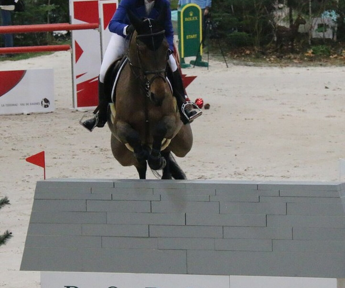 Description de l'image