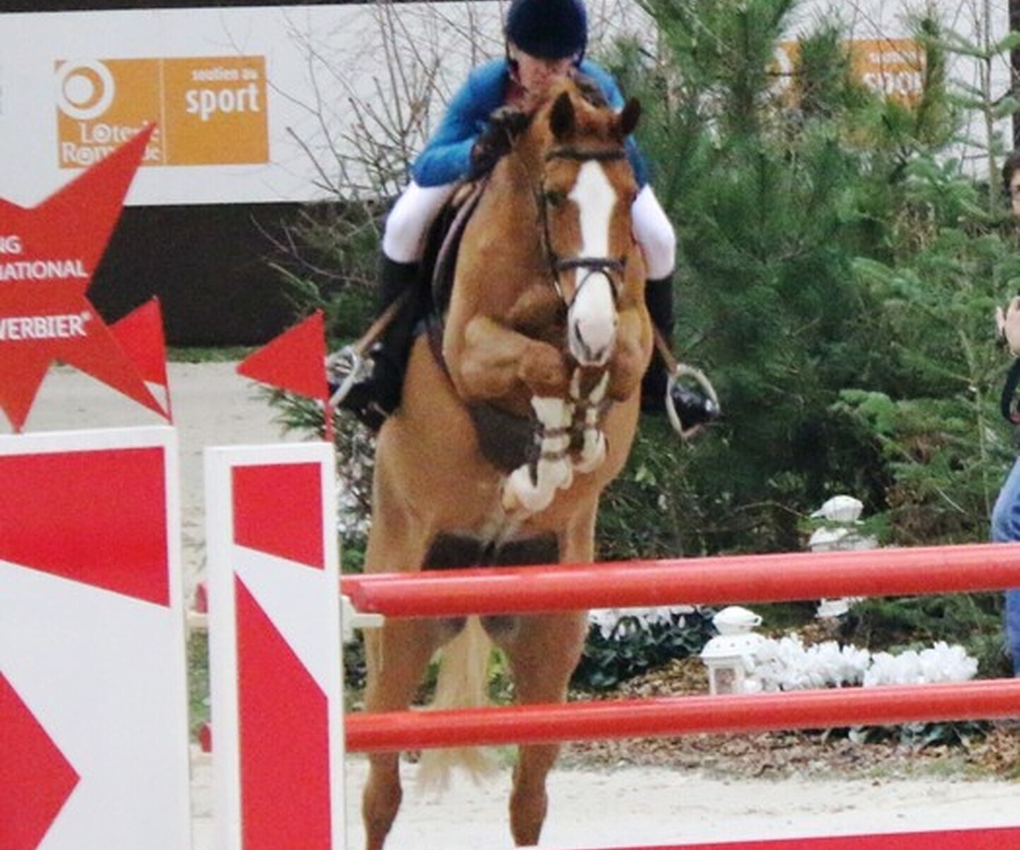 Description de l'image