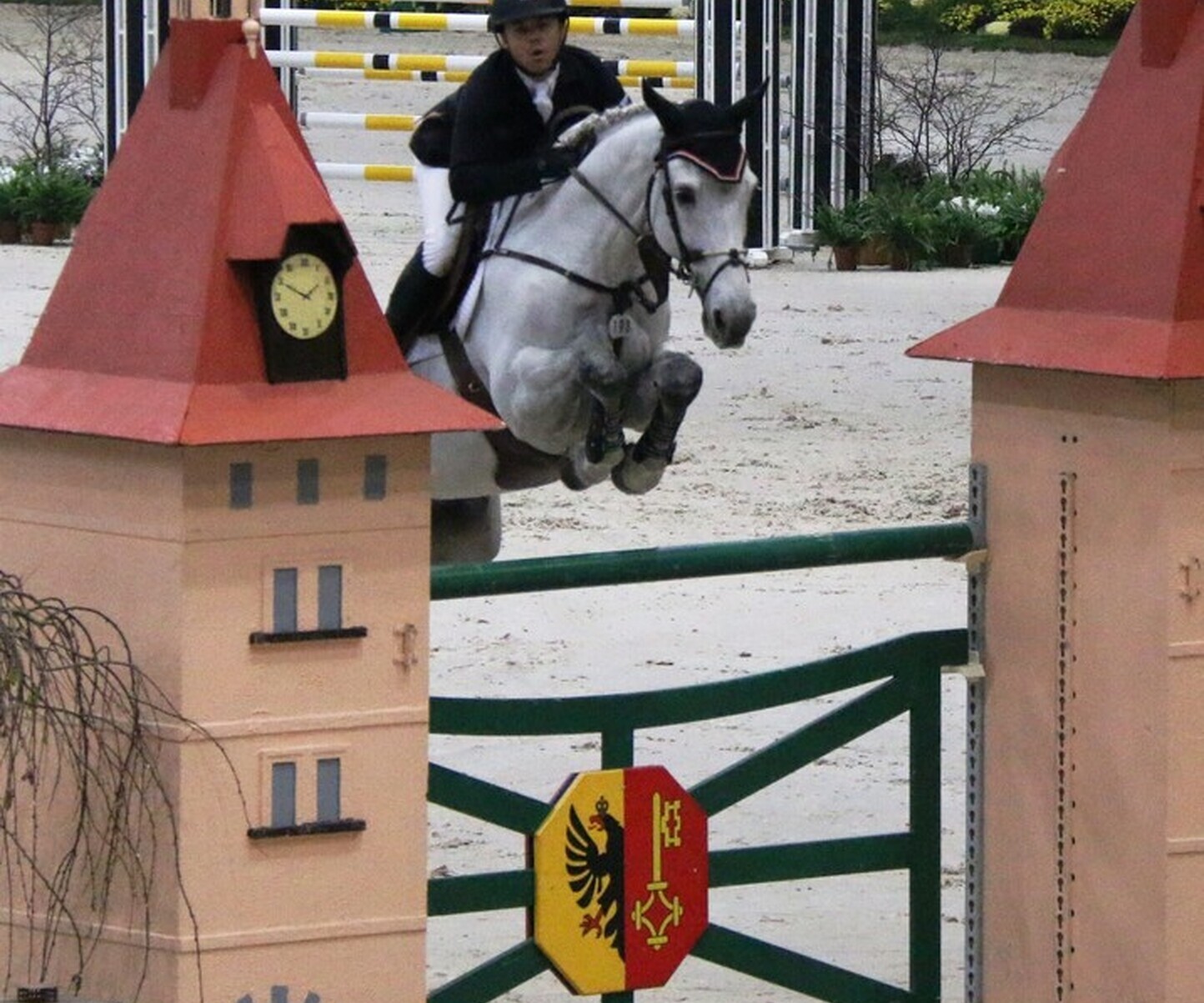 Description de l'image