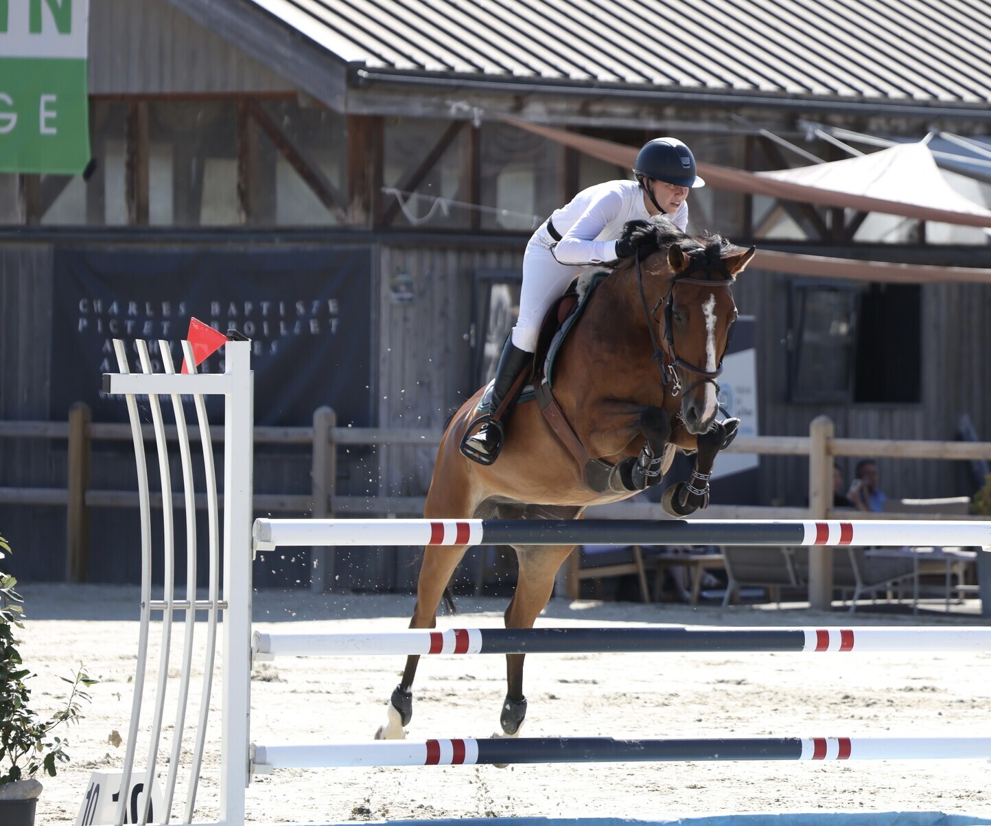 Description de l'image