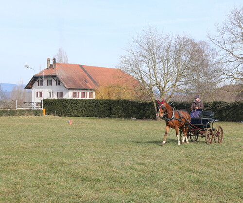 Stage de la FGE à Avenches