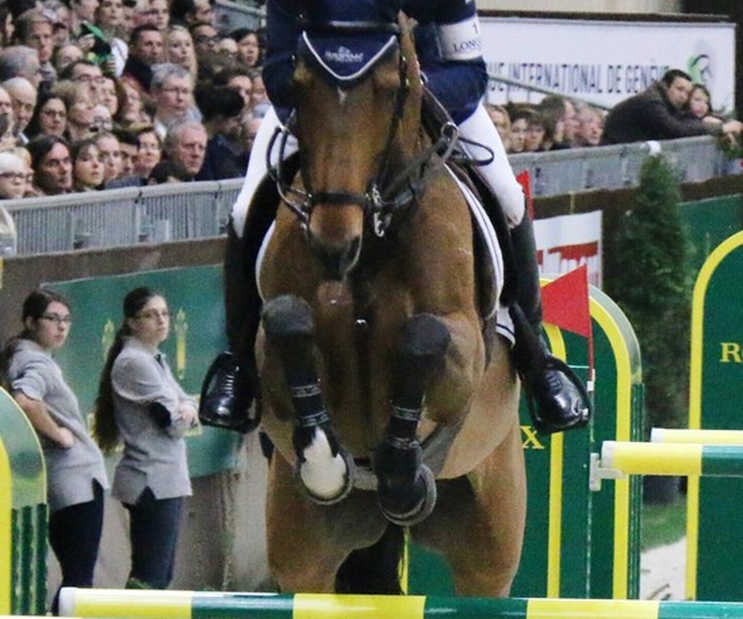 Description de l'image