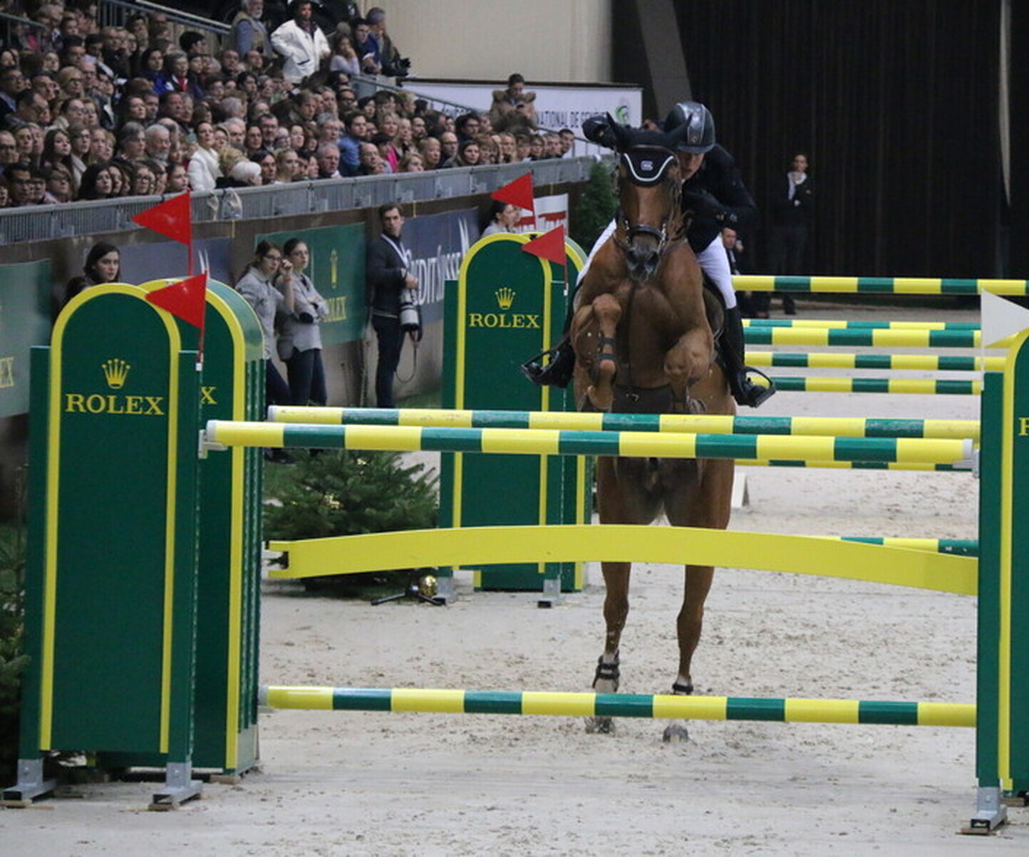 Description de l'image