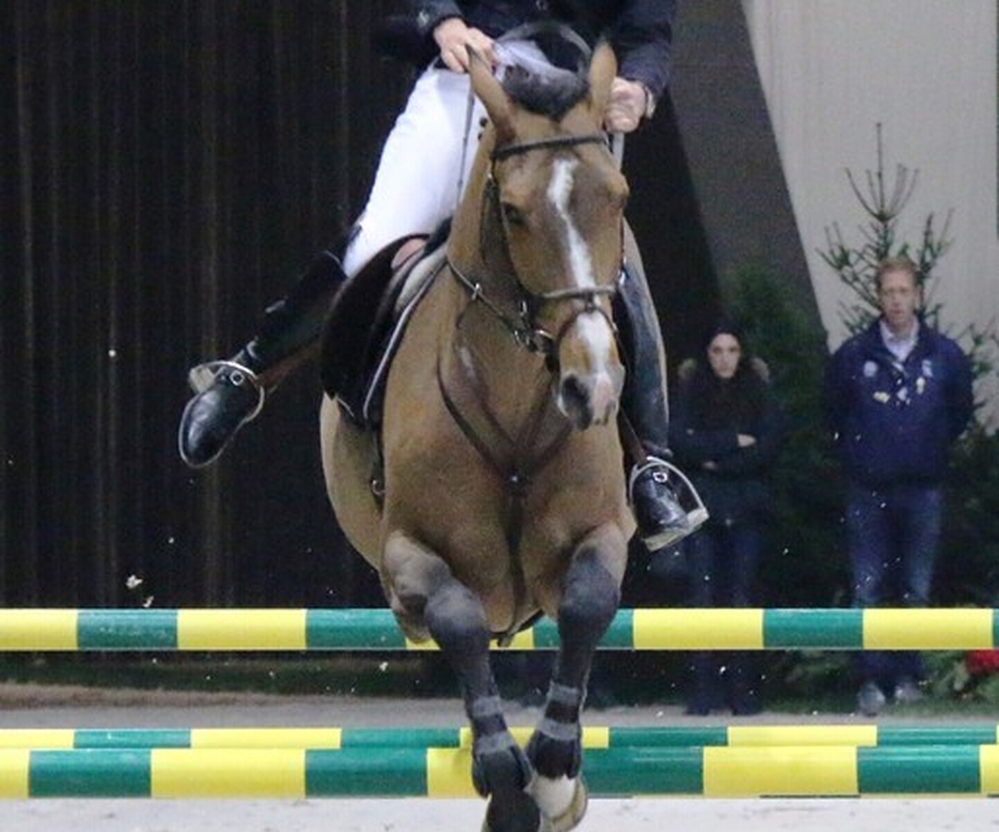 Description de l'image