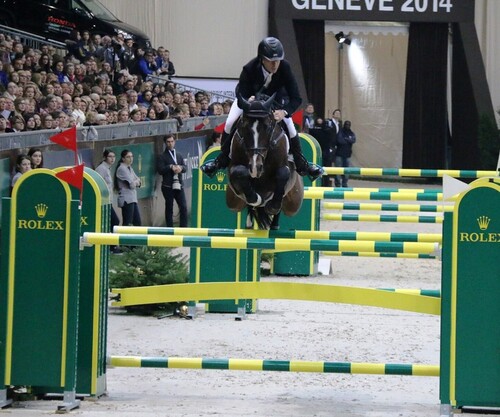 CHI-Genève 2014 - Dimanche