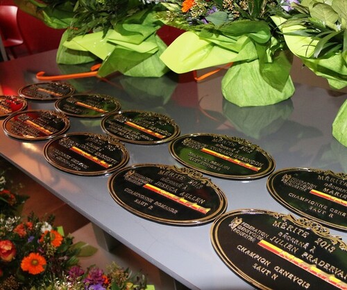 Soirée des Mérites 2013