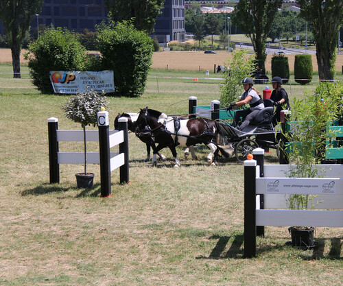 Attelage Satigny 2018