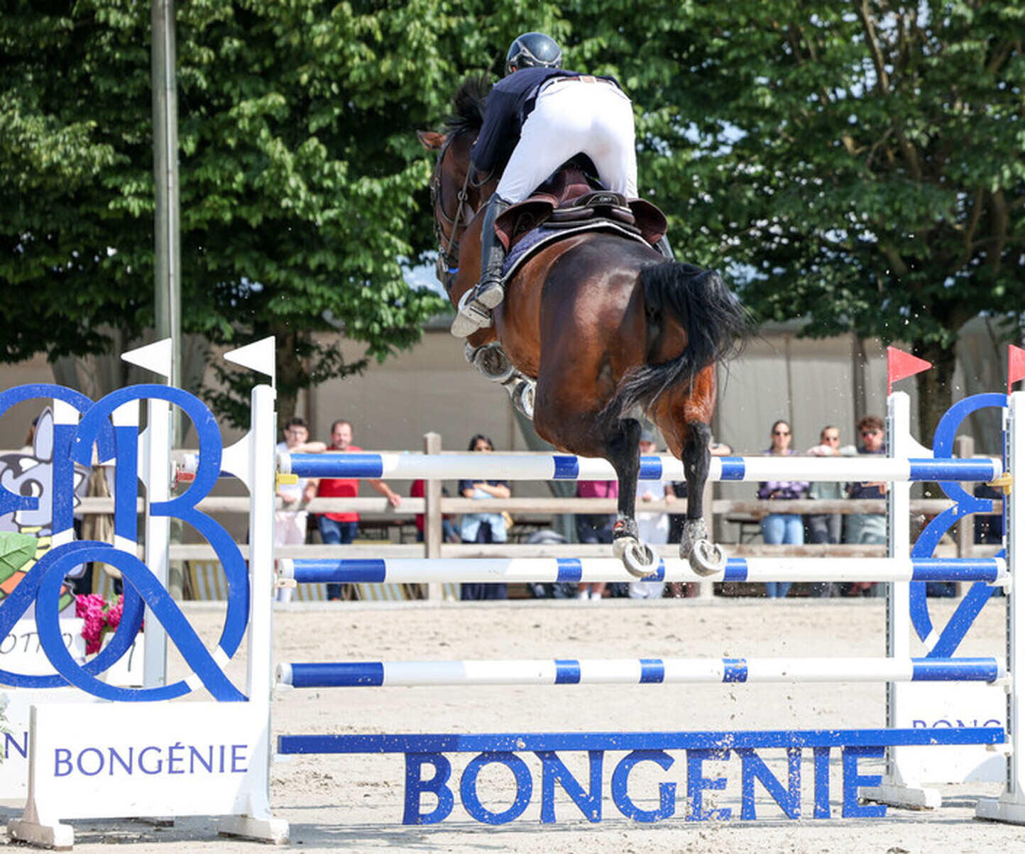 Description de l'image